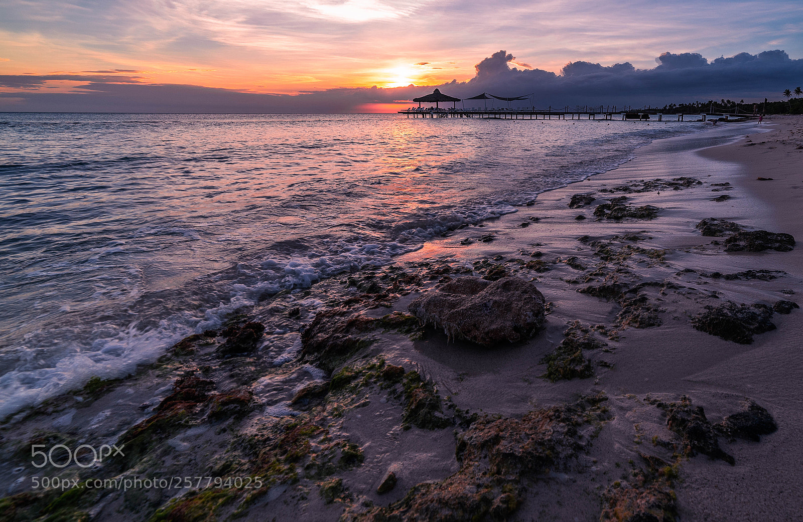Nikon D750 sample photo. Bayahibe dr photography