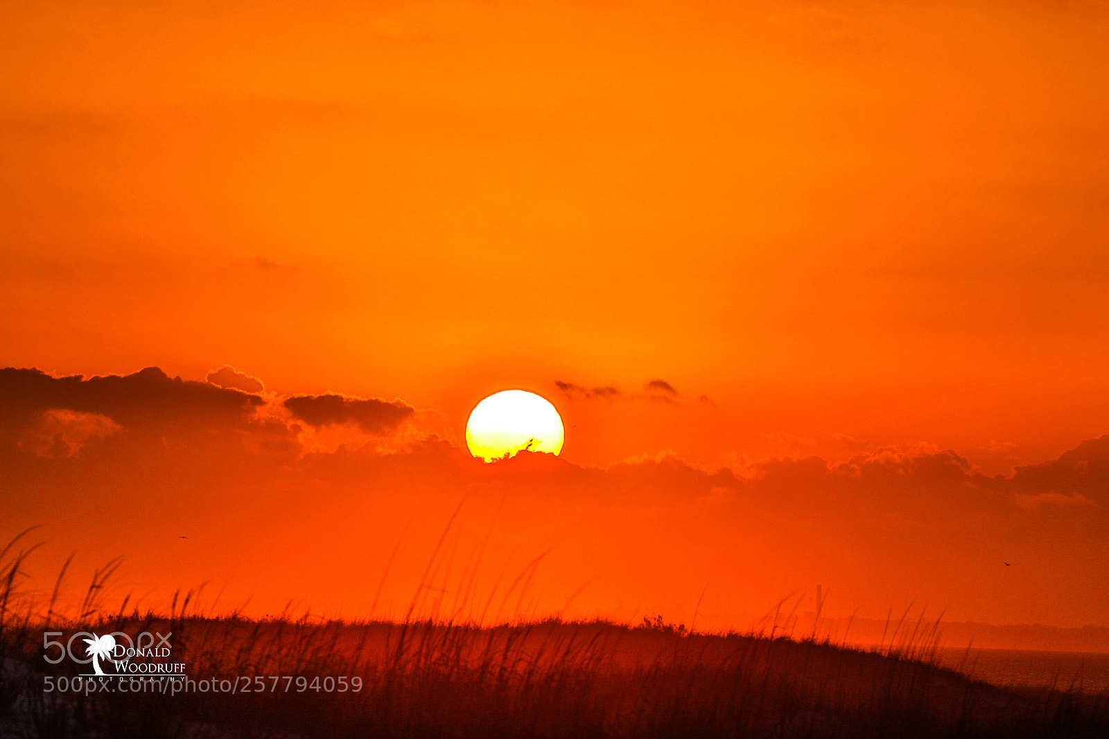 Canon EOS 7D Mark II sample photo. Pensacola sunset photography