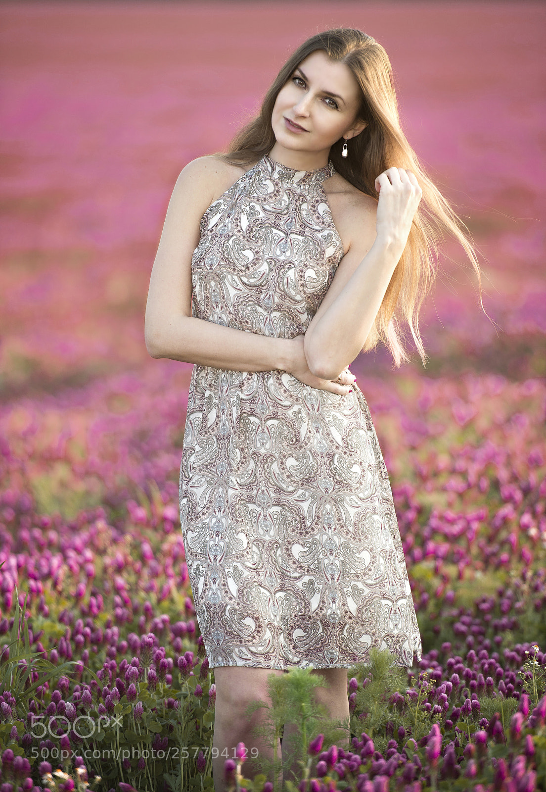 Nikon D610 sample photo. Flowers! photography