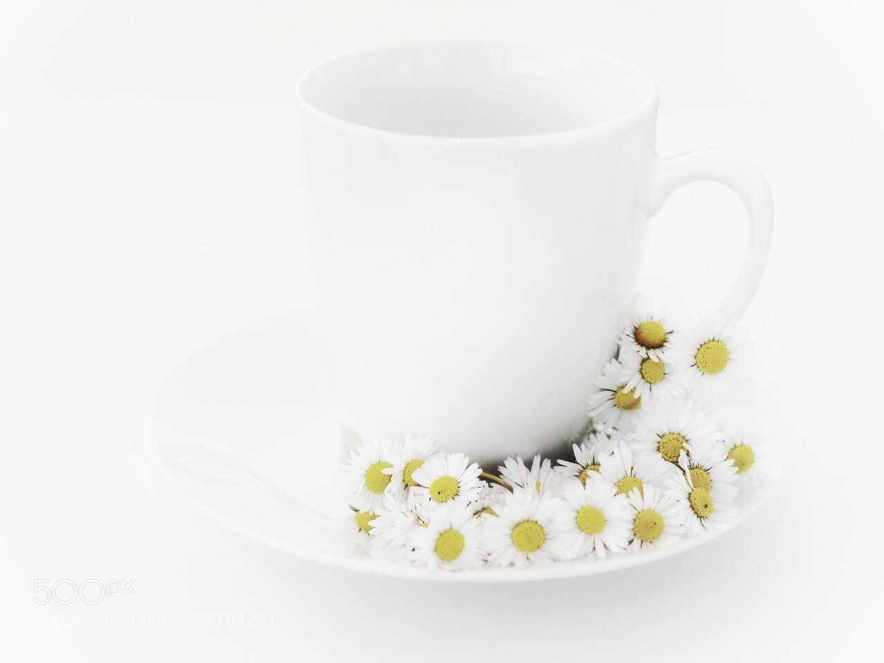 Olympus OM-D E-M5 II sample photo. Mostly white photography