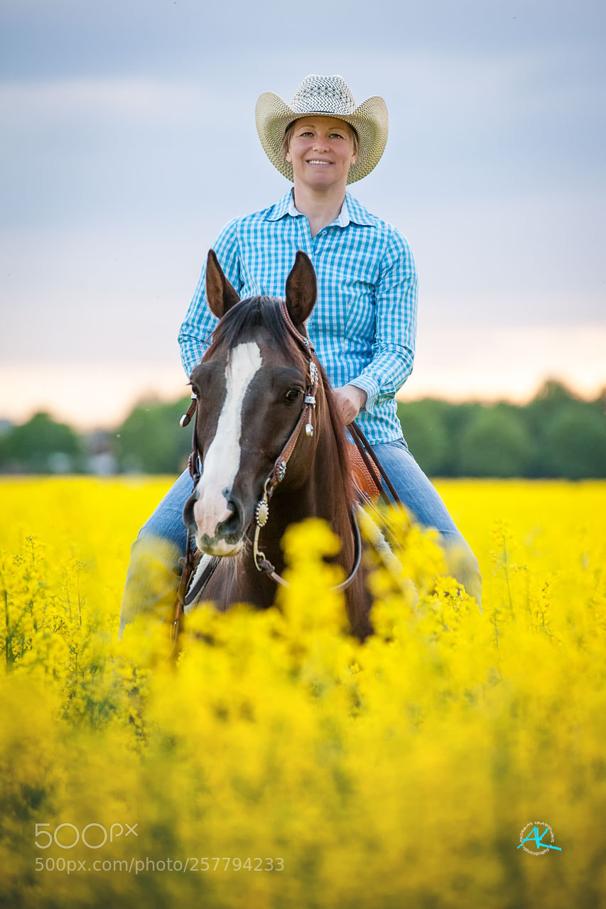 Nikon D700 sample photo. In the yellow field photography