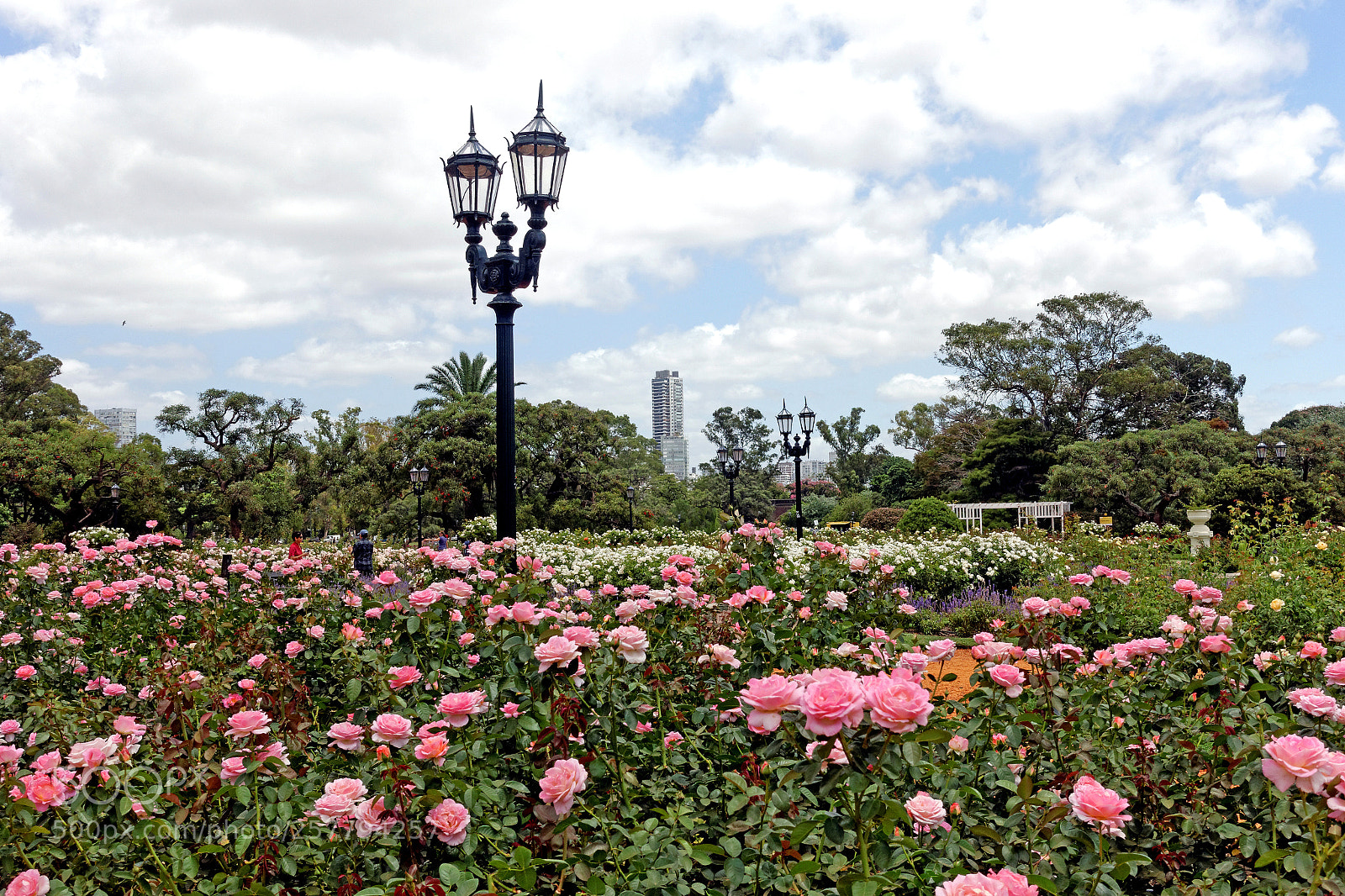 Sony Cyber-shot DSC-RX100 III sample photo. Buenos aires photography