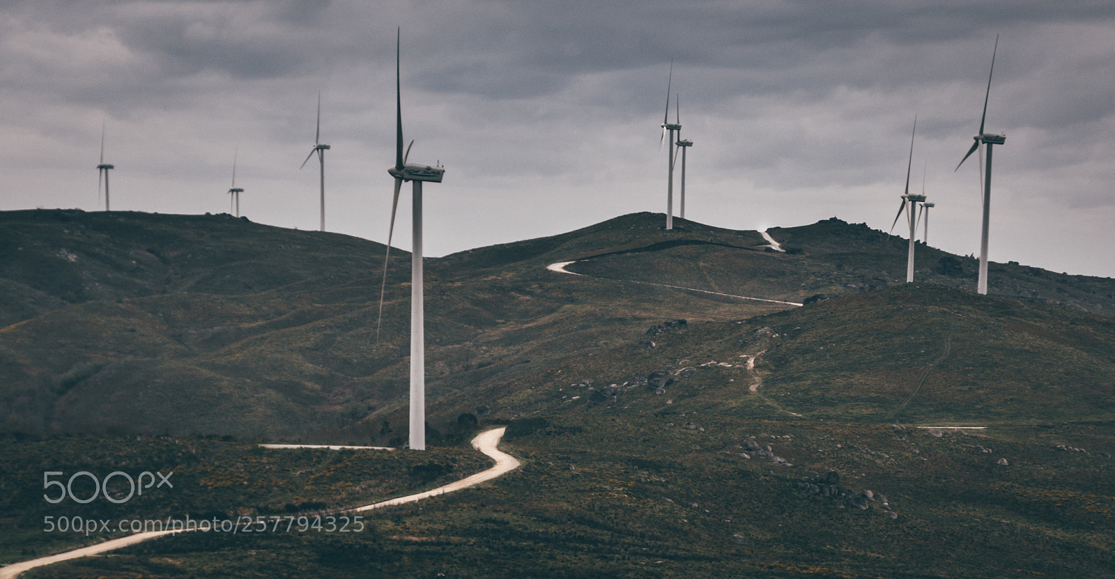 Canon EOS 70D sample photo. Wind harvesting photography