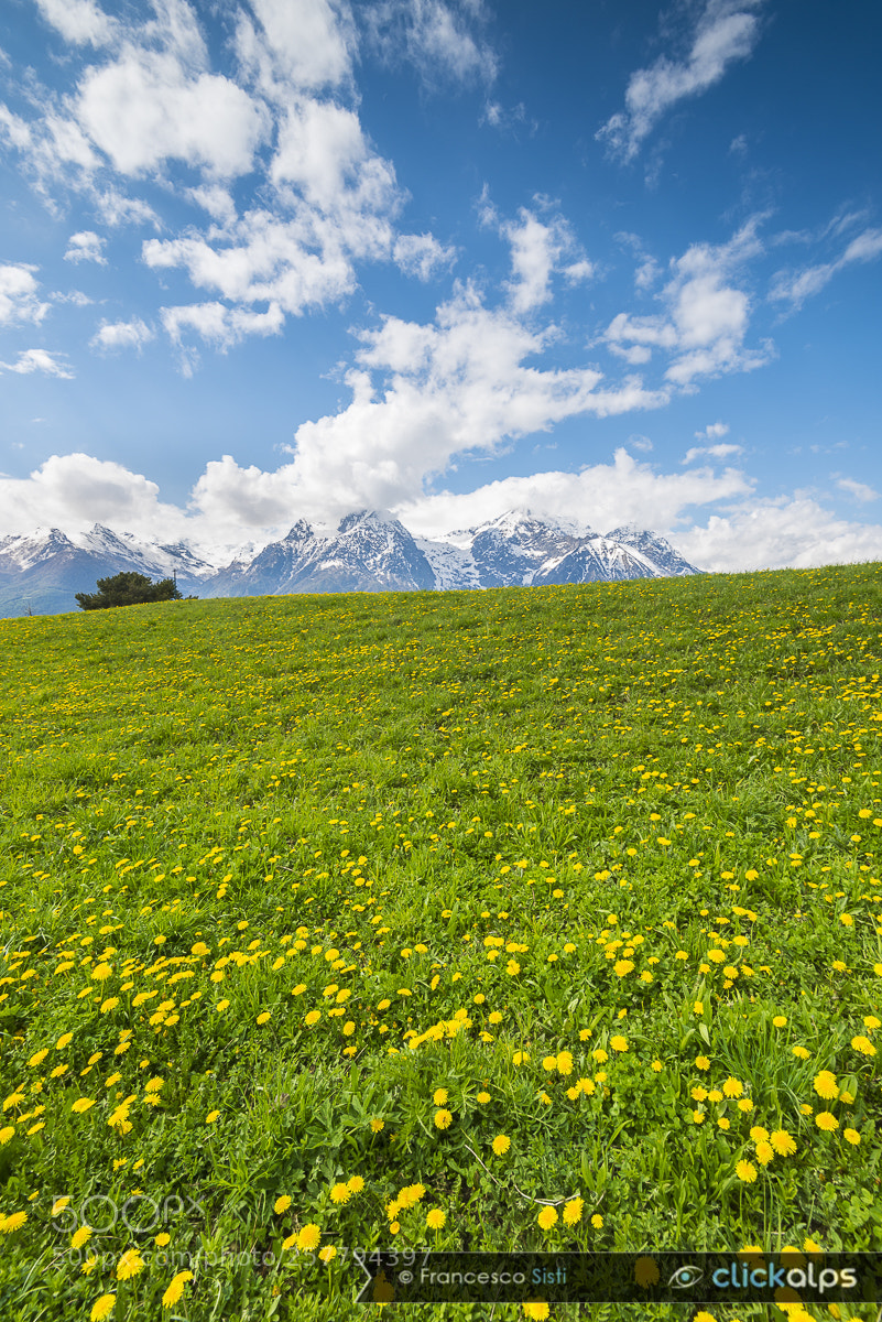 Nikon D810 sample photo. Pianette quart, vall e photography