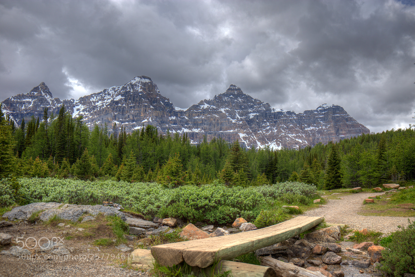 Canon EF 24-70mm F4L IS USM sample photo. Nature in alberta, canada photography