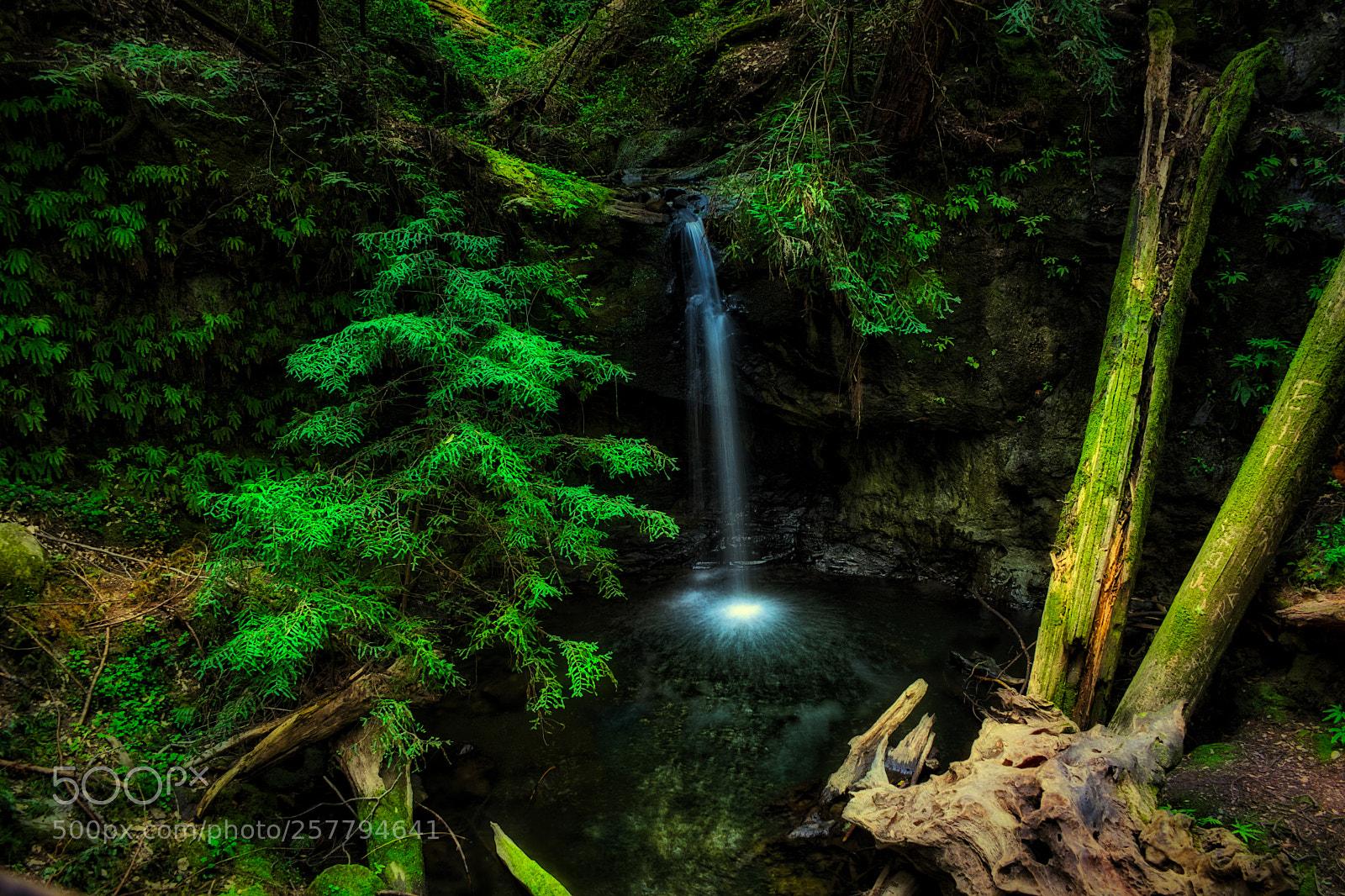 Sony a7 II sample photo. Sempervirens falls photography