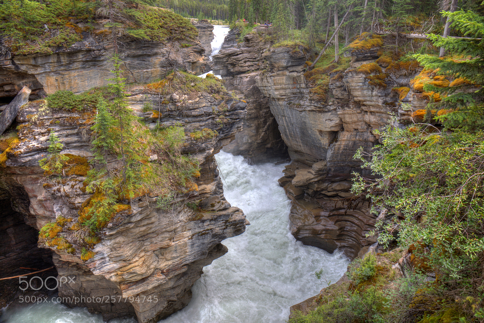 Canon EF 24-70mm F4L IS USM sample photo. Nature in alberta, canada photography