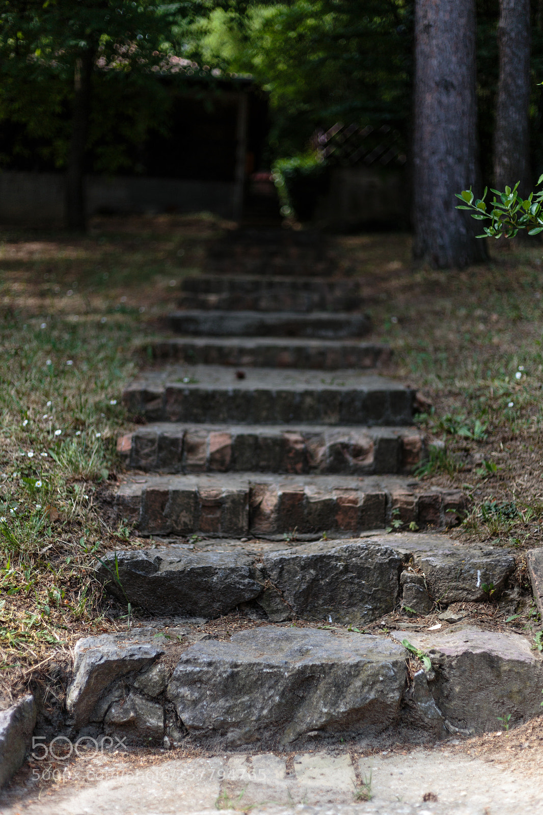 Canon EOS 6D sample photo. Stairs on the mountain photography