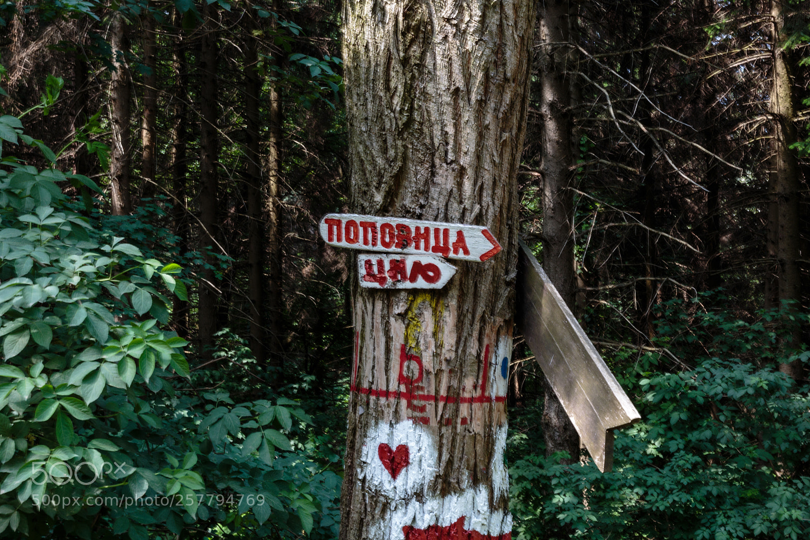Canon EOS 6D sample photo. Signs photography