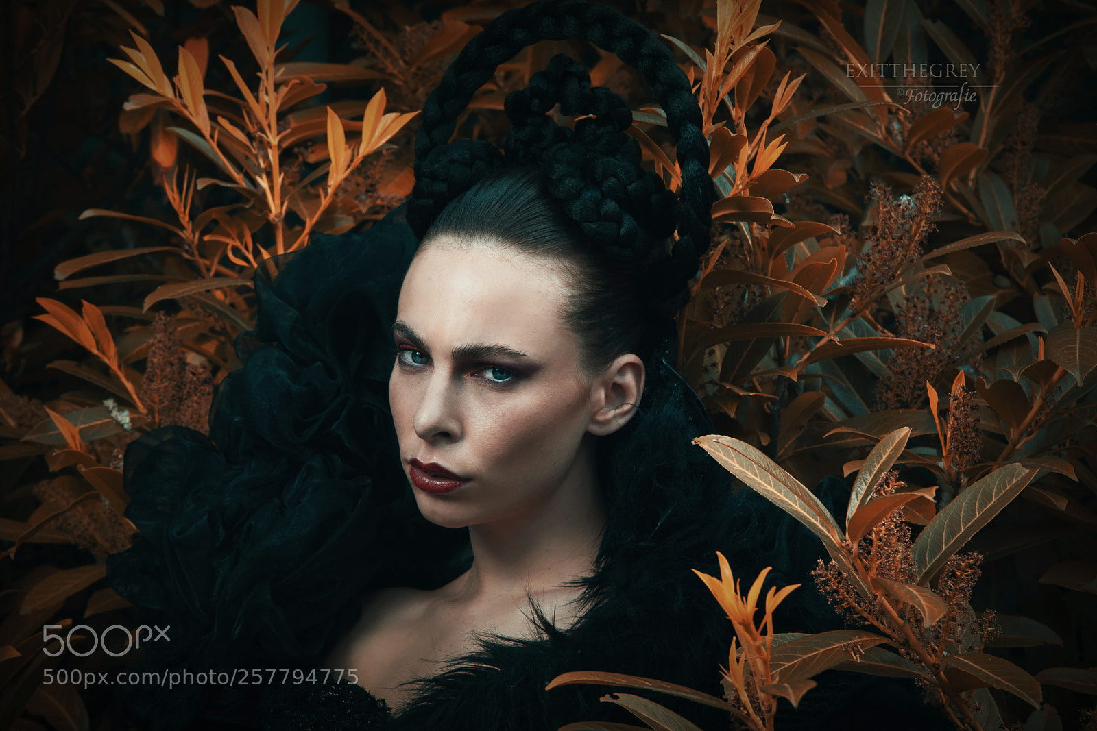 Canon EOS 80D sample photo. Elusive tones photography