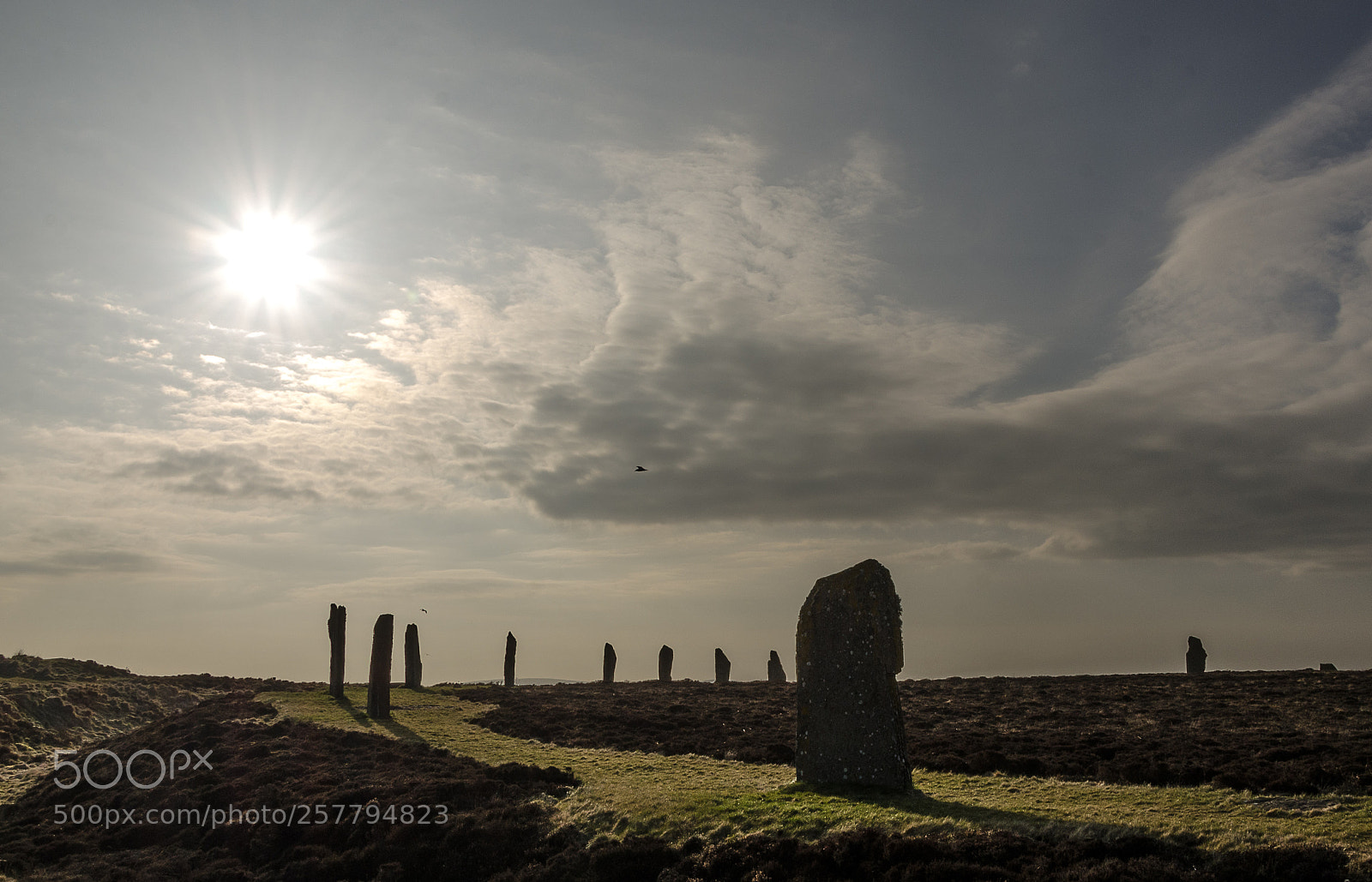 Nikon D7000 sample photo. Ring of brodgar photography
