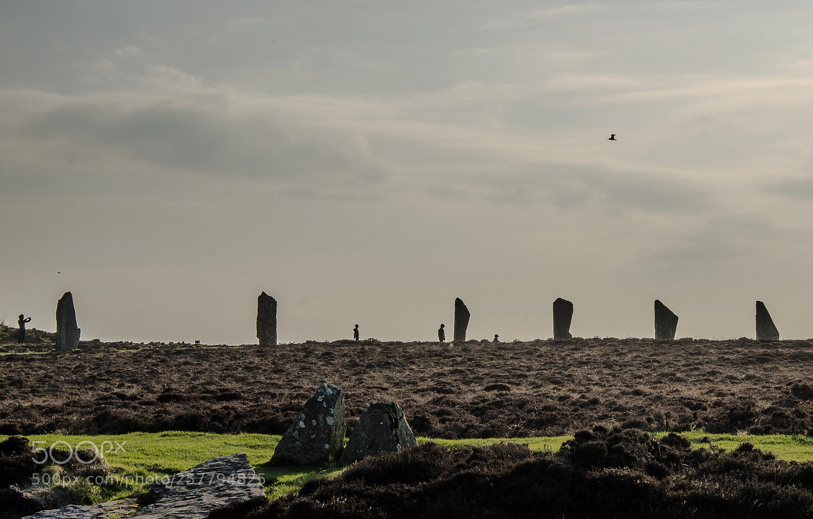 Nikon D7000 sample photo. Ring of brodgar 1 photography