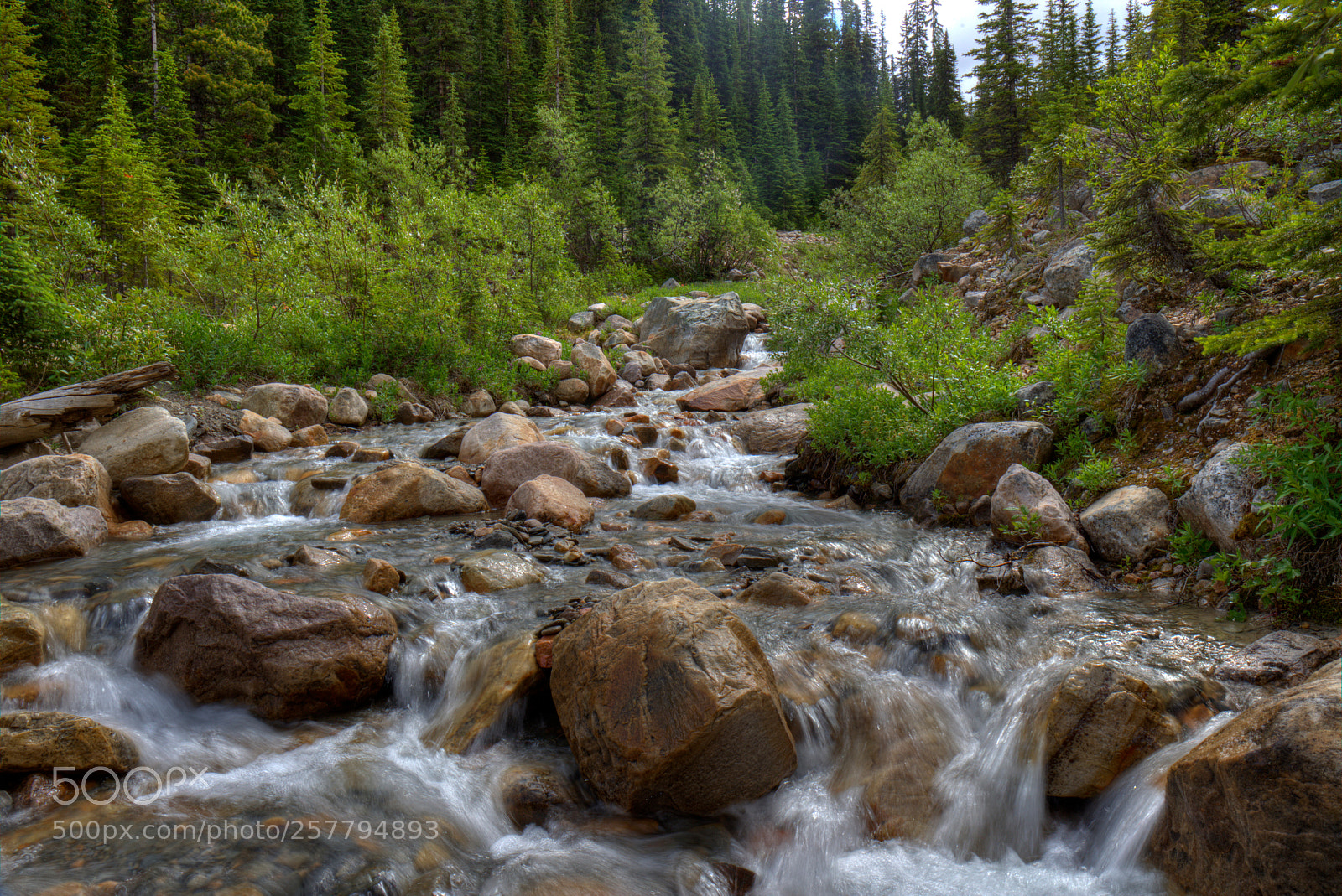 Canon EF 24-70mm F4L IS USM sample photo. Nature in alberta, canada photography