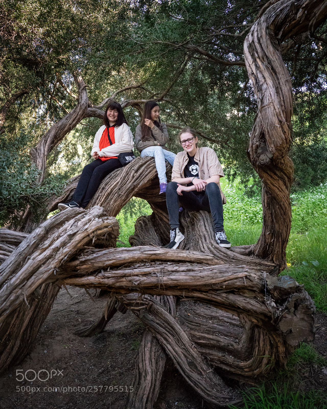 Sony a7R III sample photo. Cousins at russian hill photography