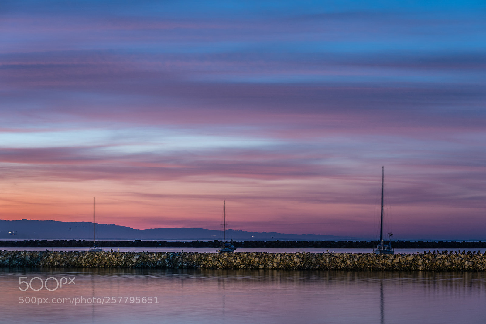 Nikon D750 sample photo. Pillar point photography