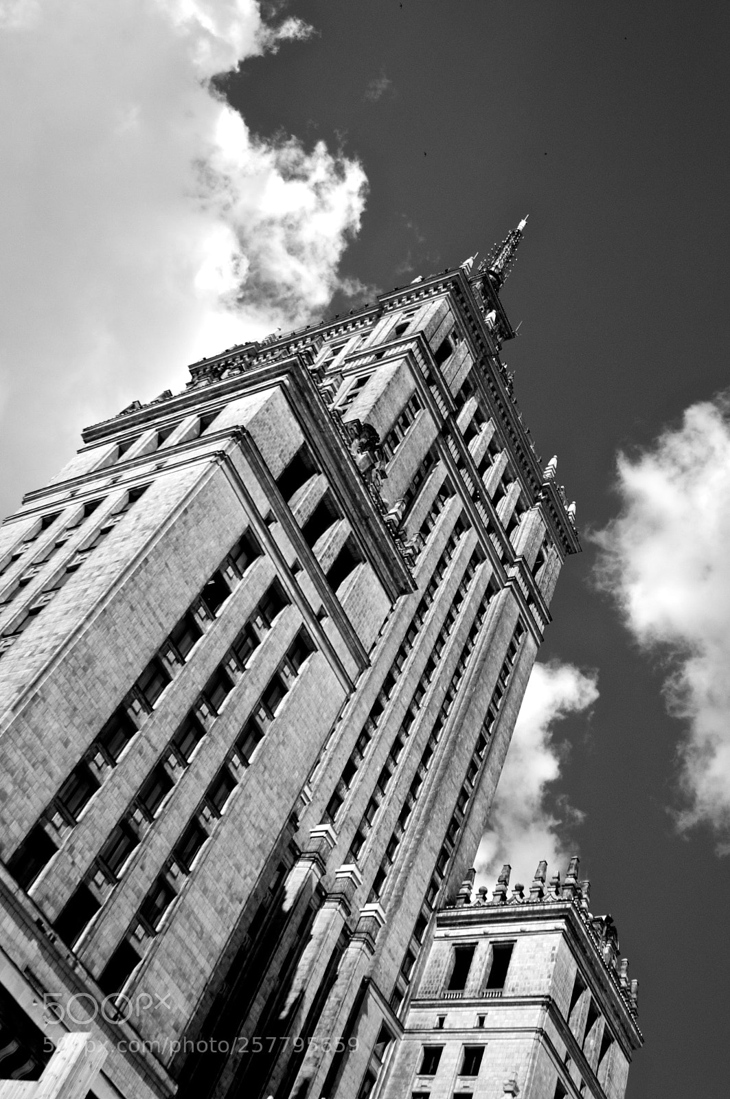 Nikon D300 sample photo. Untitled photography