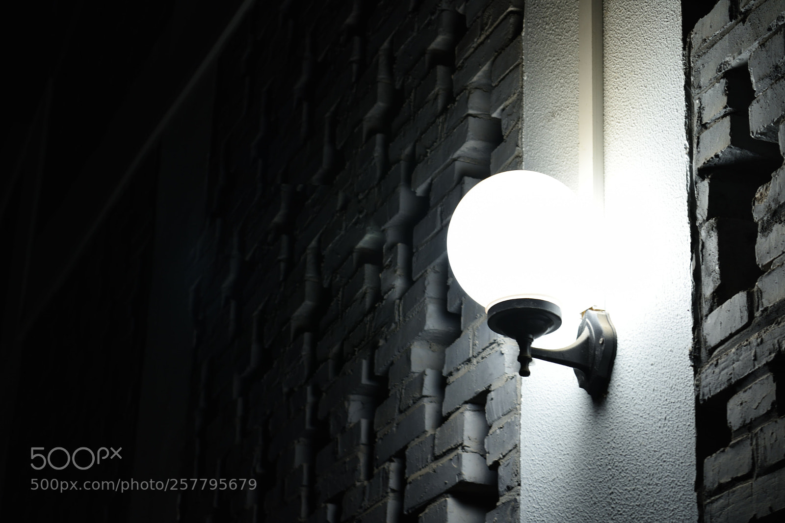 Nikon D5500 sample photo. Untitled photography