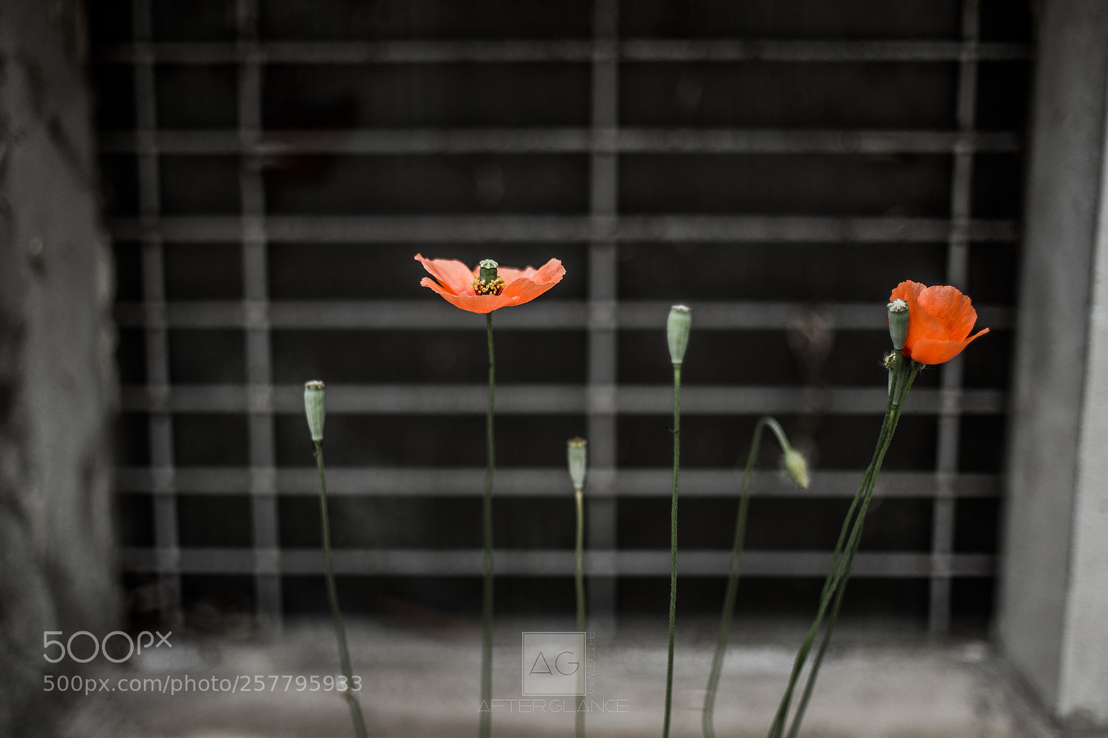Canon EOS 6D sample photo. Sometimes... photography