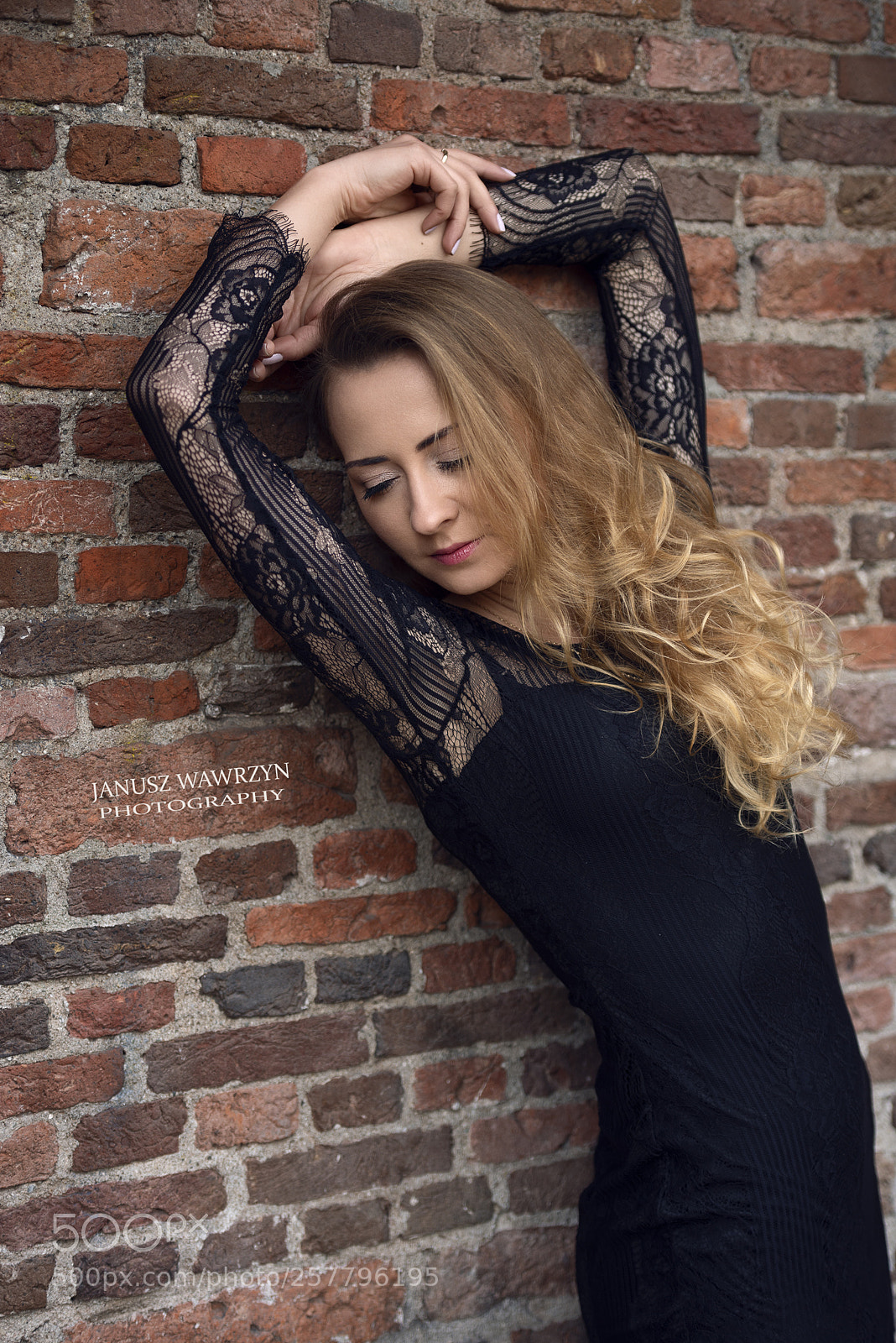Nikon D610 sample photo. Untitled photography
