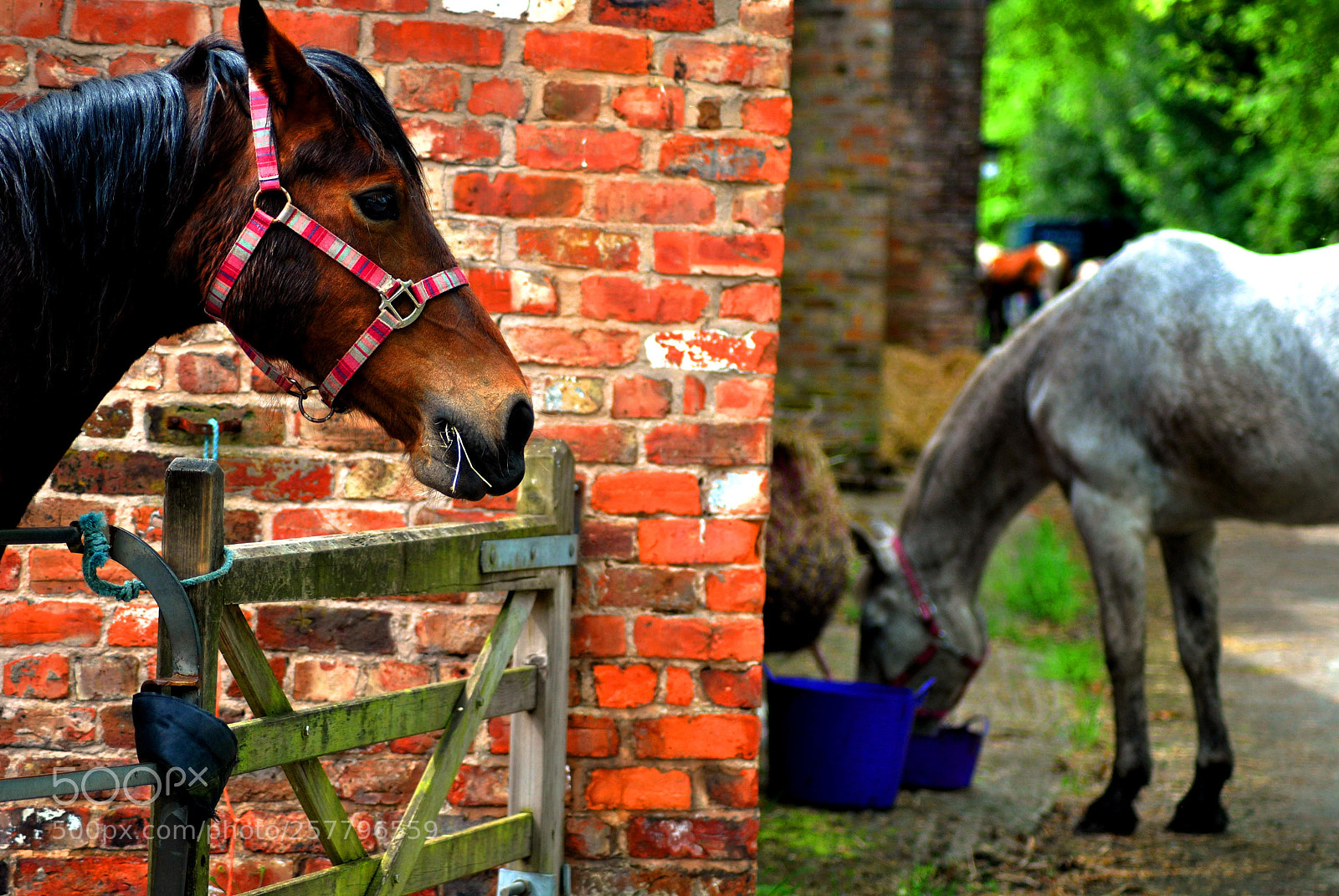 Nikon D3000 sample photo. Not  going  to  share photography
