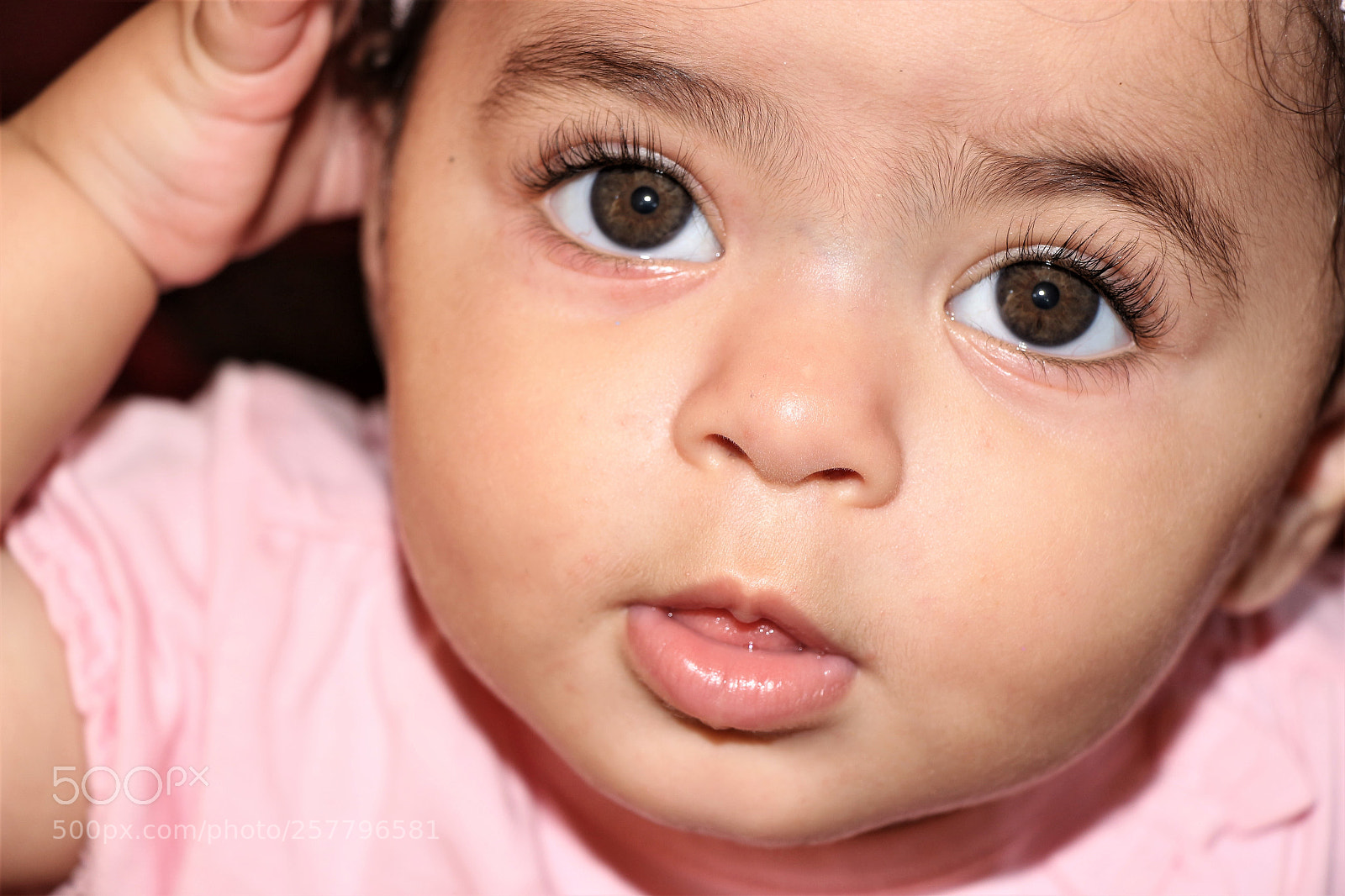 Canon EOS 700D (EOS Rebel T5i / EOS Kiss X7i) sample photo. Img photography