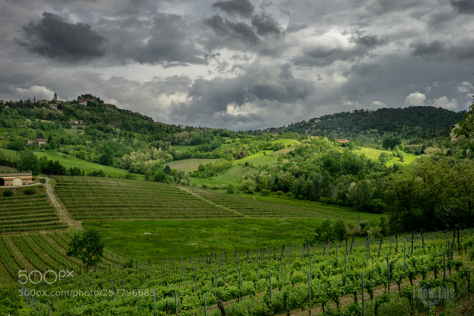 Sony a7 II sample photo. La primavera photography