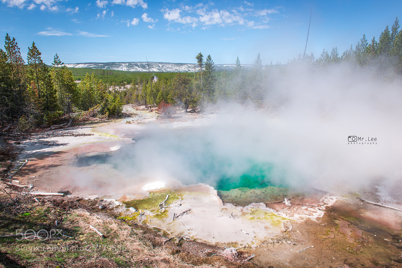 Nikon D800 sample photo. A no-name basin in photography