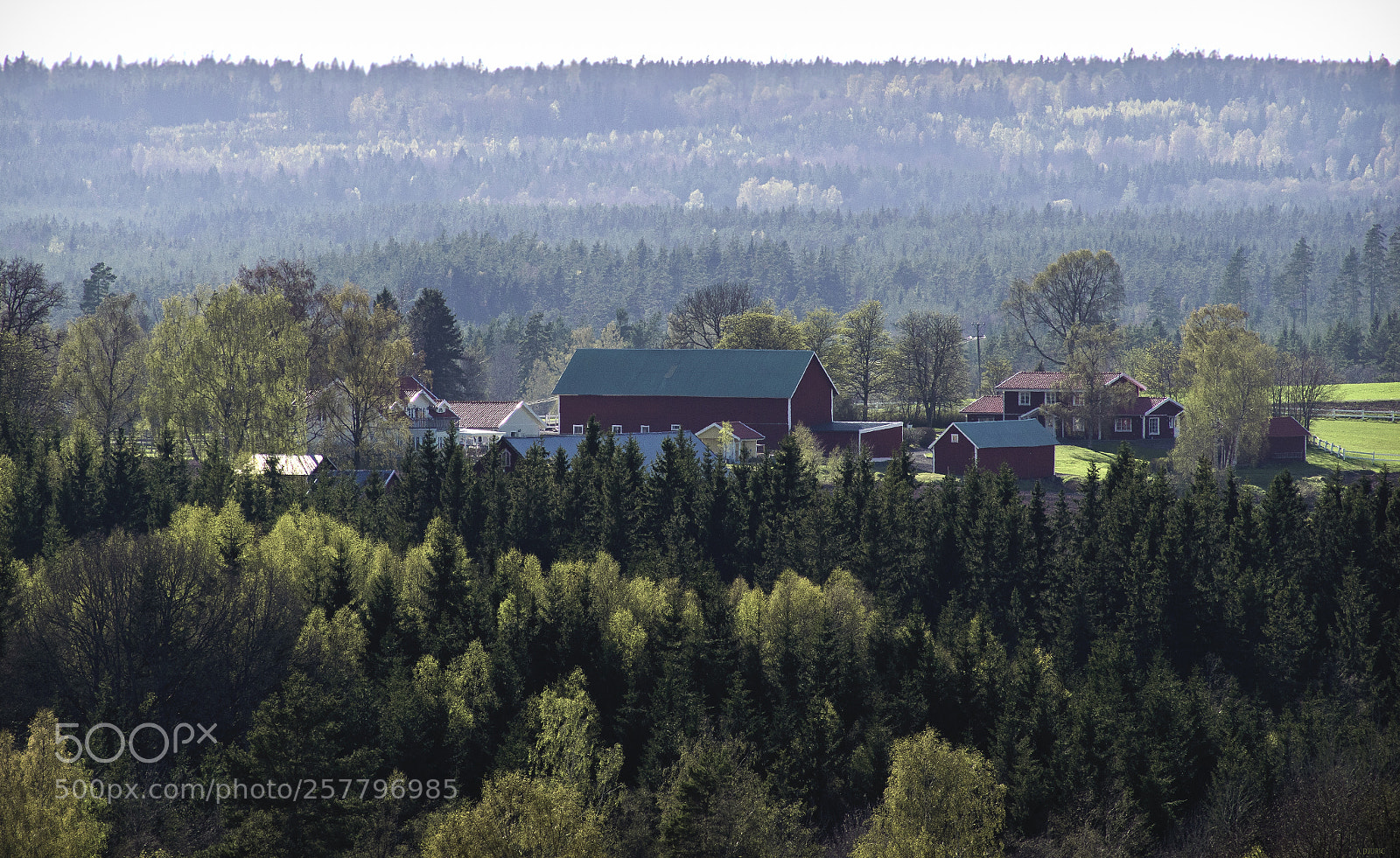 Nikon D5300 sample photo. Swedish farm photography