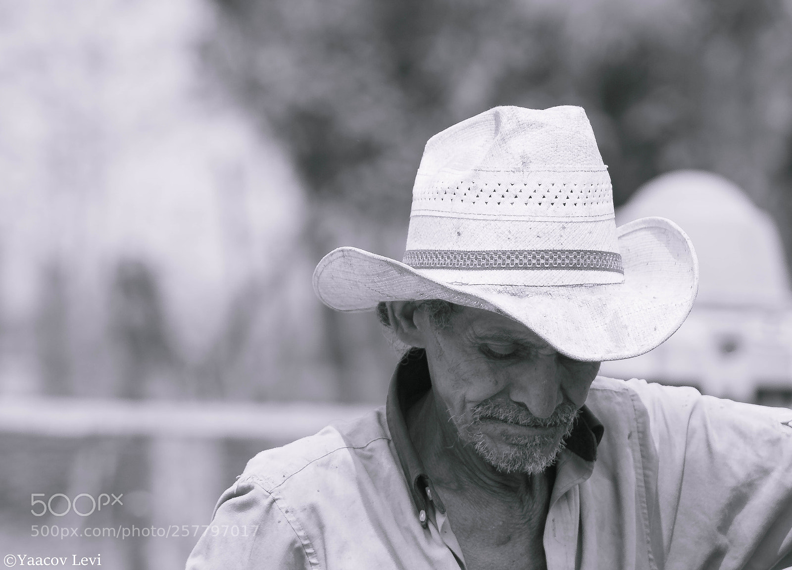 Canon EOS 70D sample photo. El viejo photography