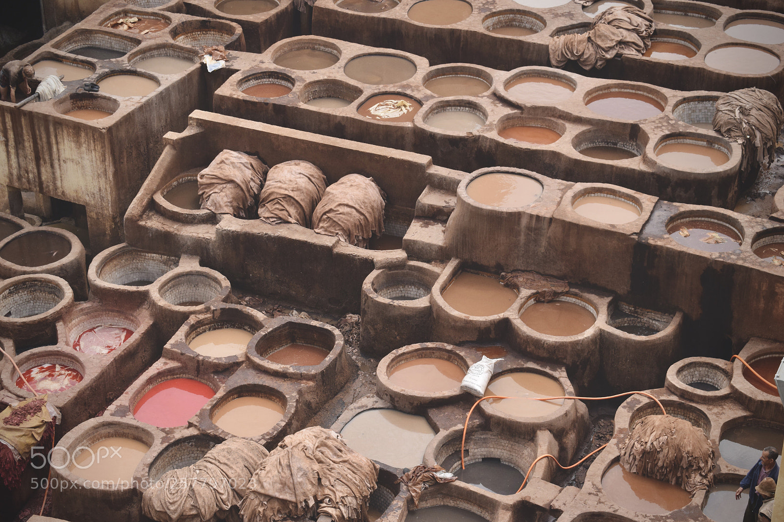 Nikon D3300 sample photo. Leather tanning photography
