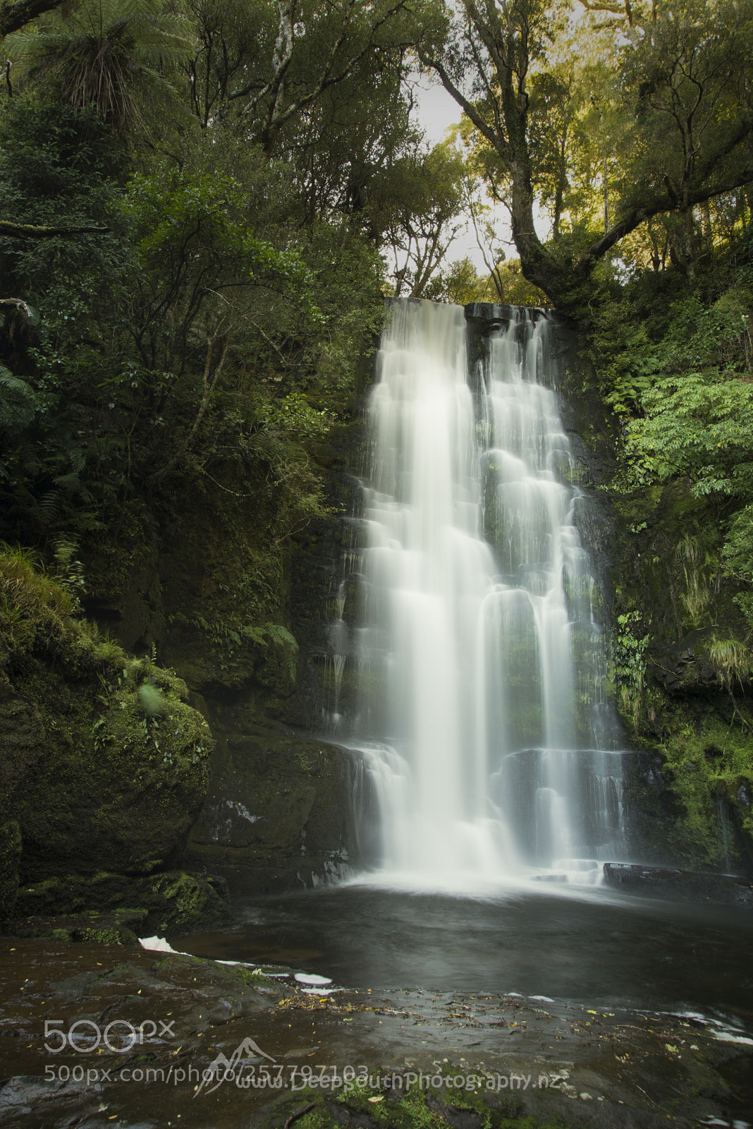 Nikon D610 sample photo. Mclean falls  photography