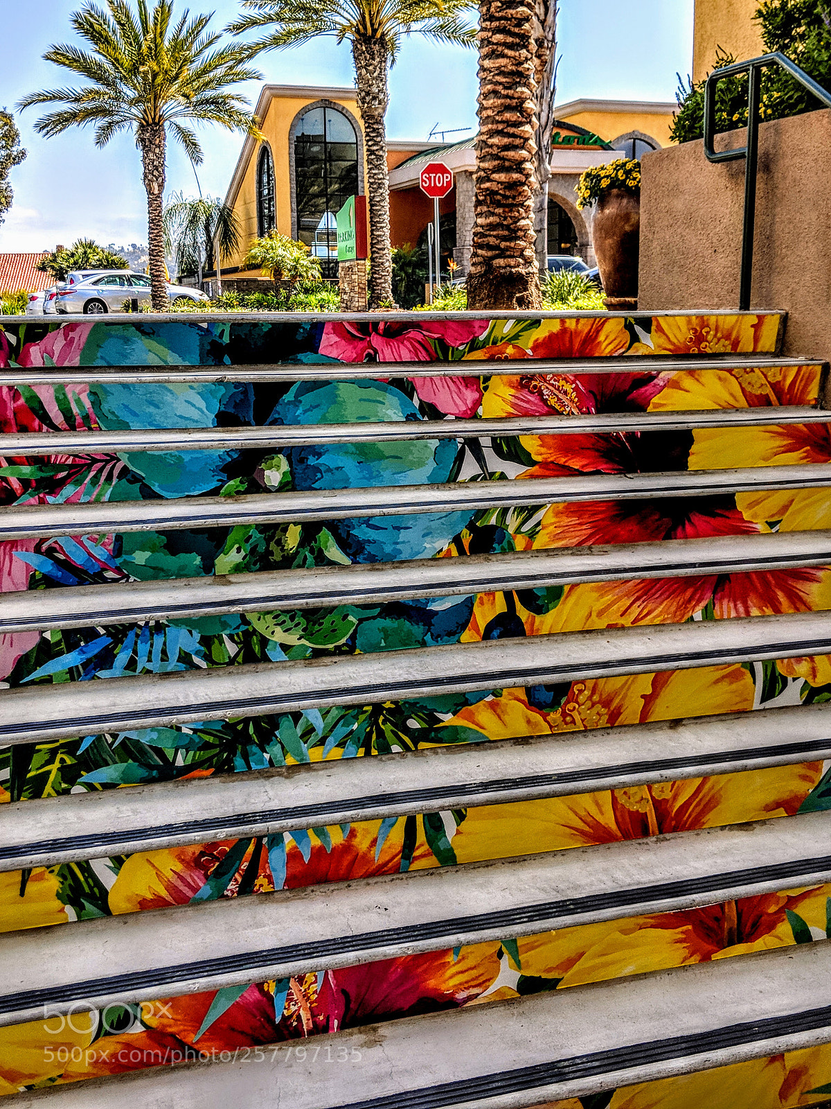 Google Pixel 2 XL sample photo. Flower steps photography