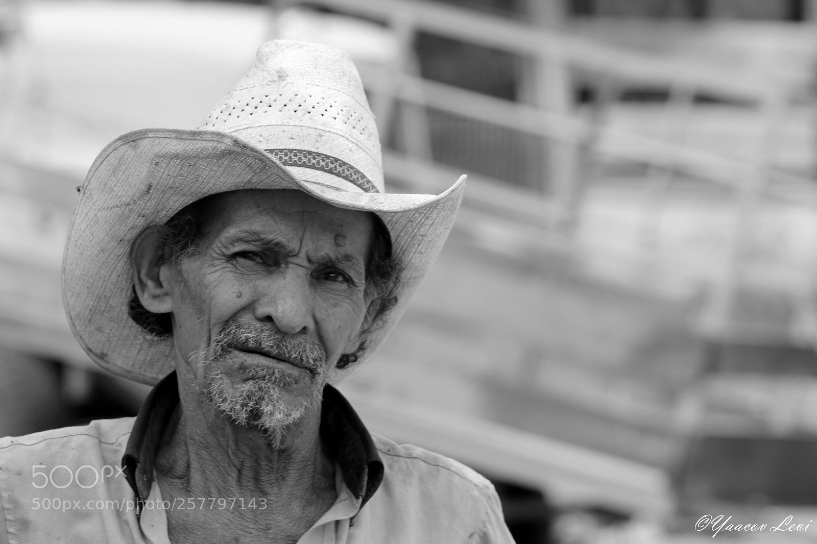 Canon EOS 70D sample photo. What ? photography