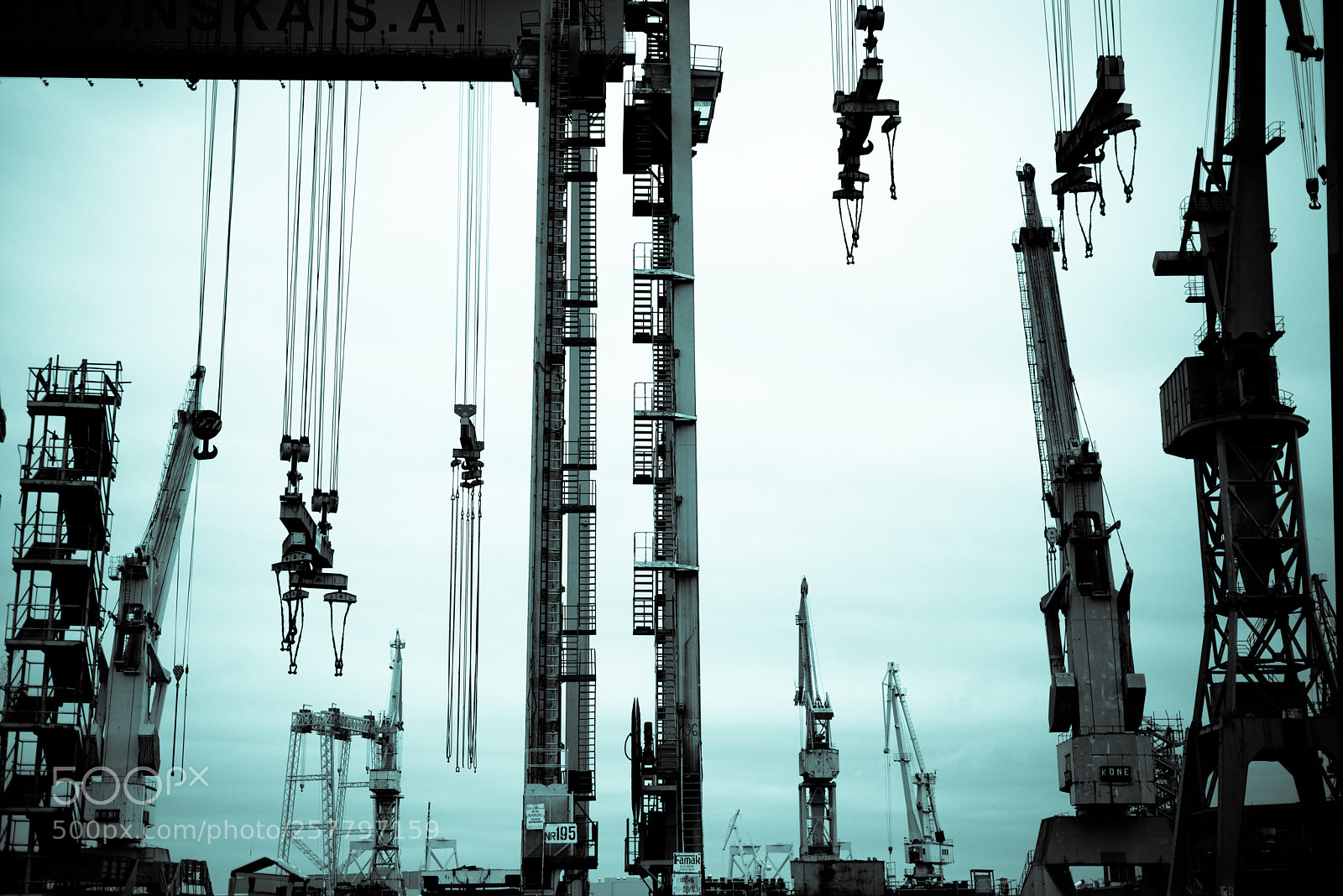 Nikon D810 sample photo. Cranes rises in the photography