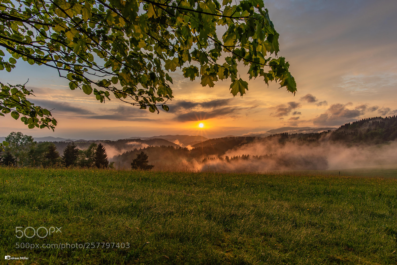 Nikon D810 sample photo. Sunset in the black photography