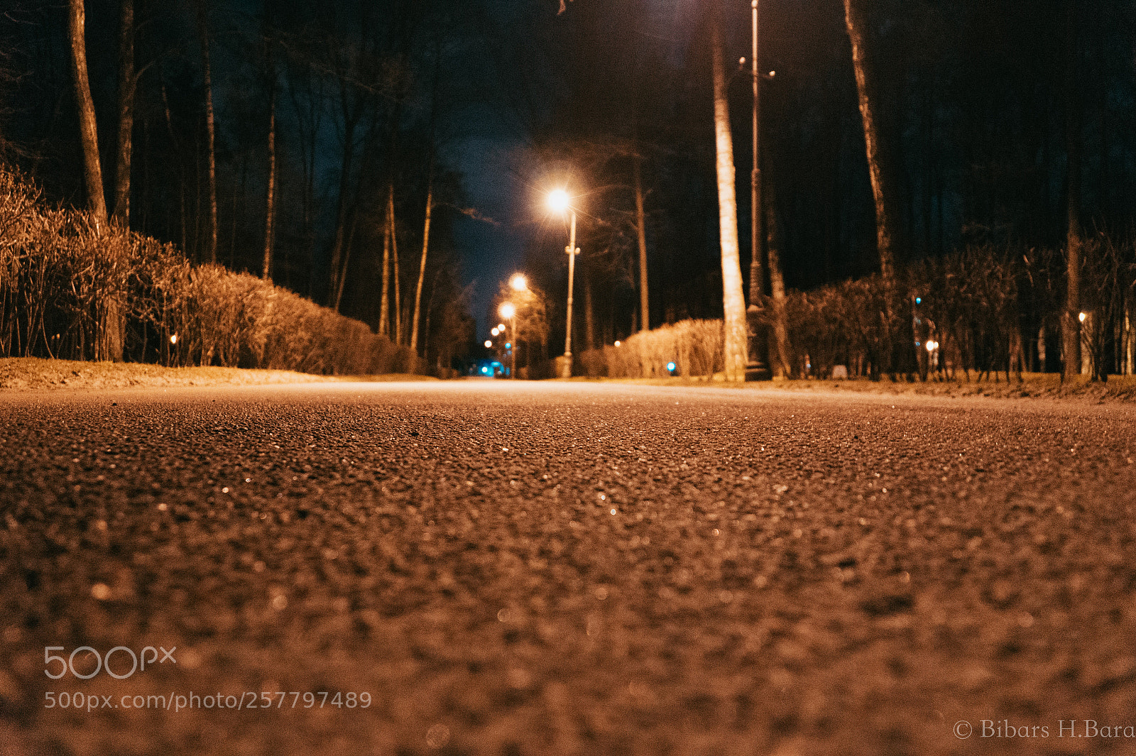 Sony SLT-A58 sample photo. Saint petersburg, russia photography