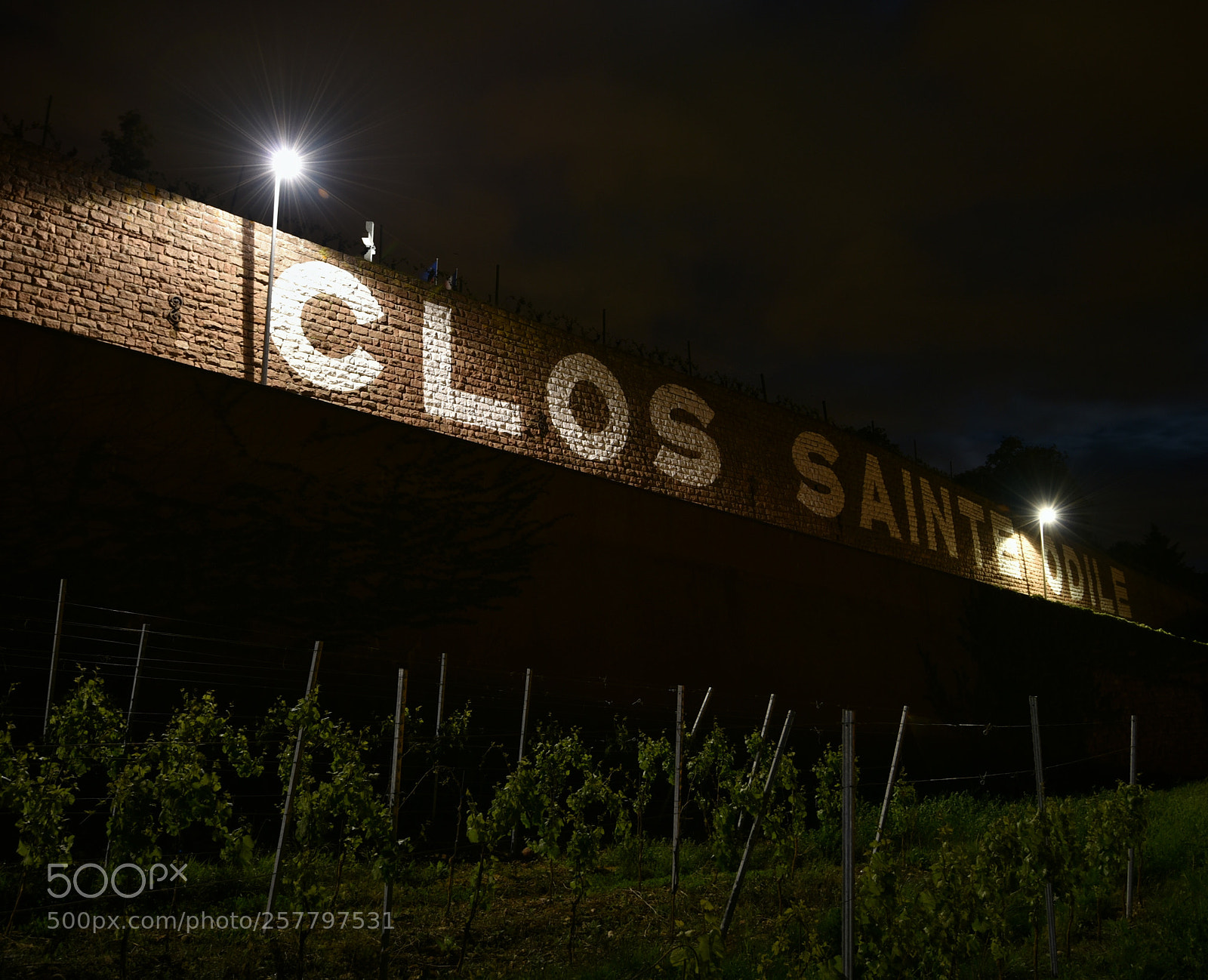 Nikon D750 sample photo. Clos sainte odile photography