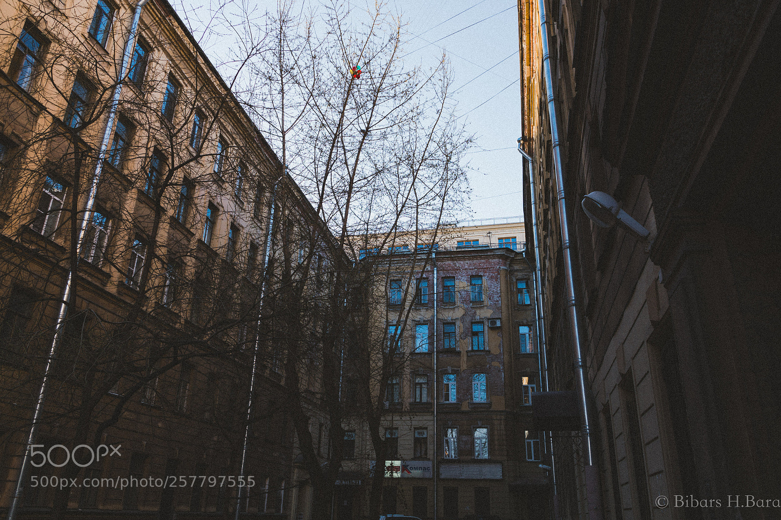 Sony SLT-A58 sample photo. Saint petersburg, russia photography