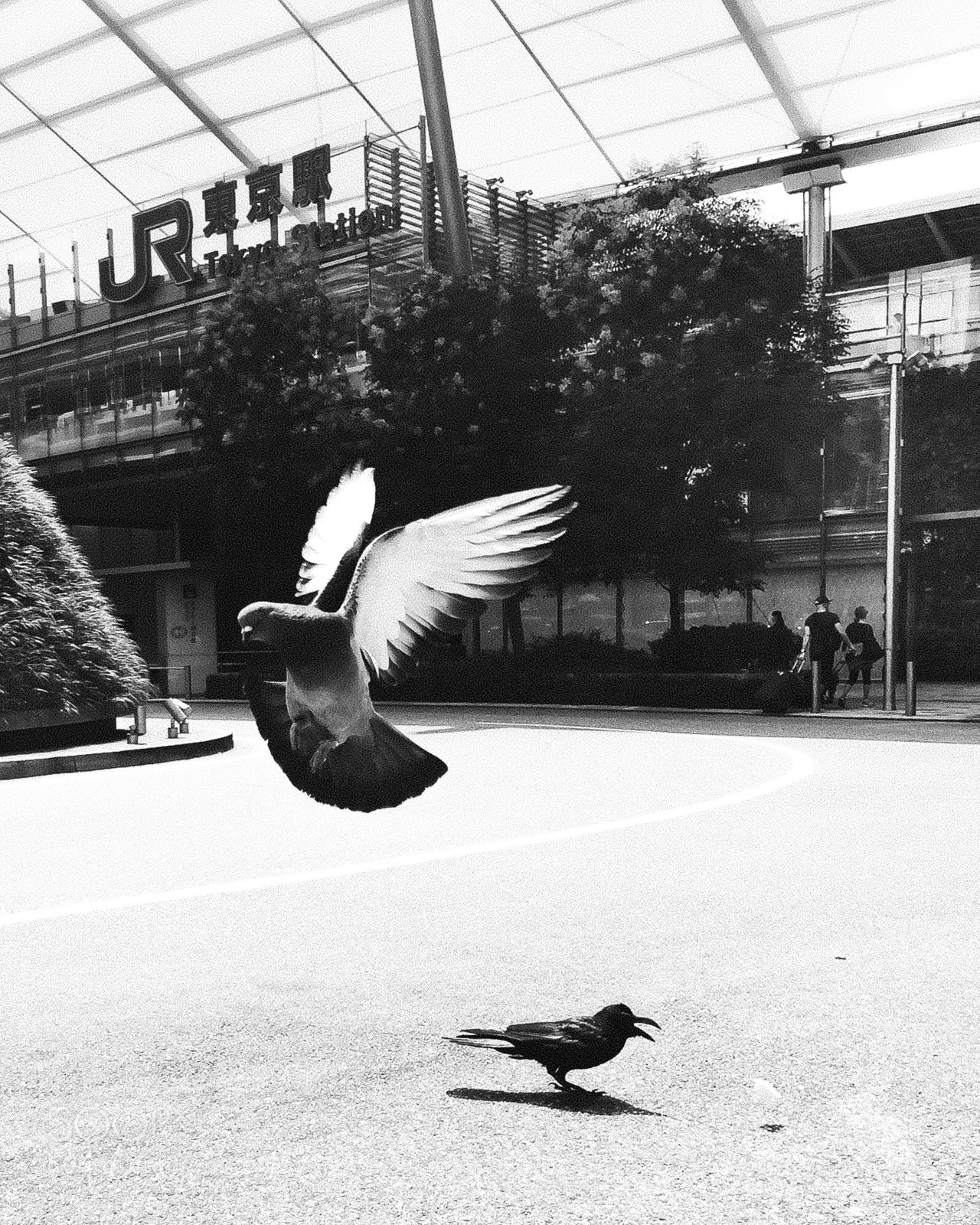 Apple iPhone 6 sample photo. Untitled photography