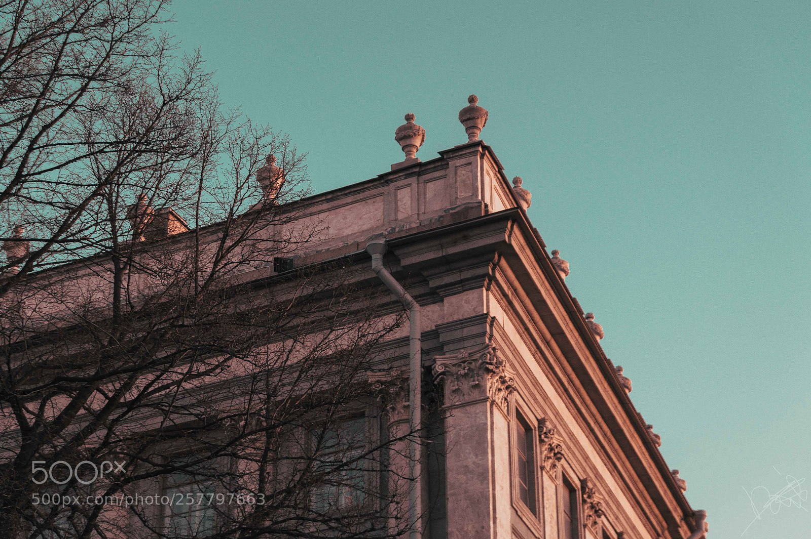 Sony SLT-A58 sample photo. Saint petersburg, russia photography