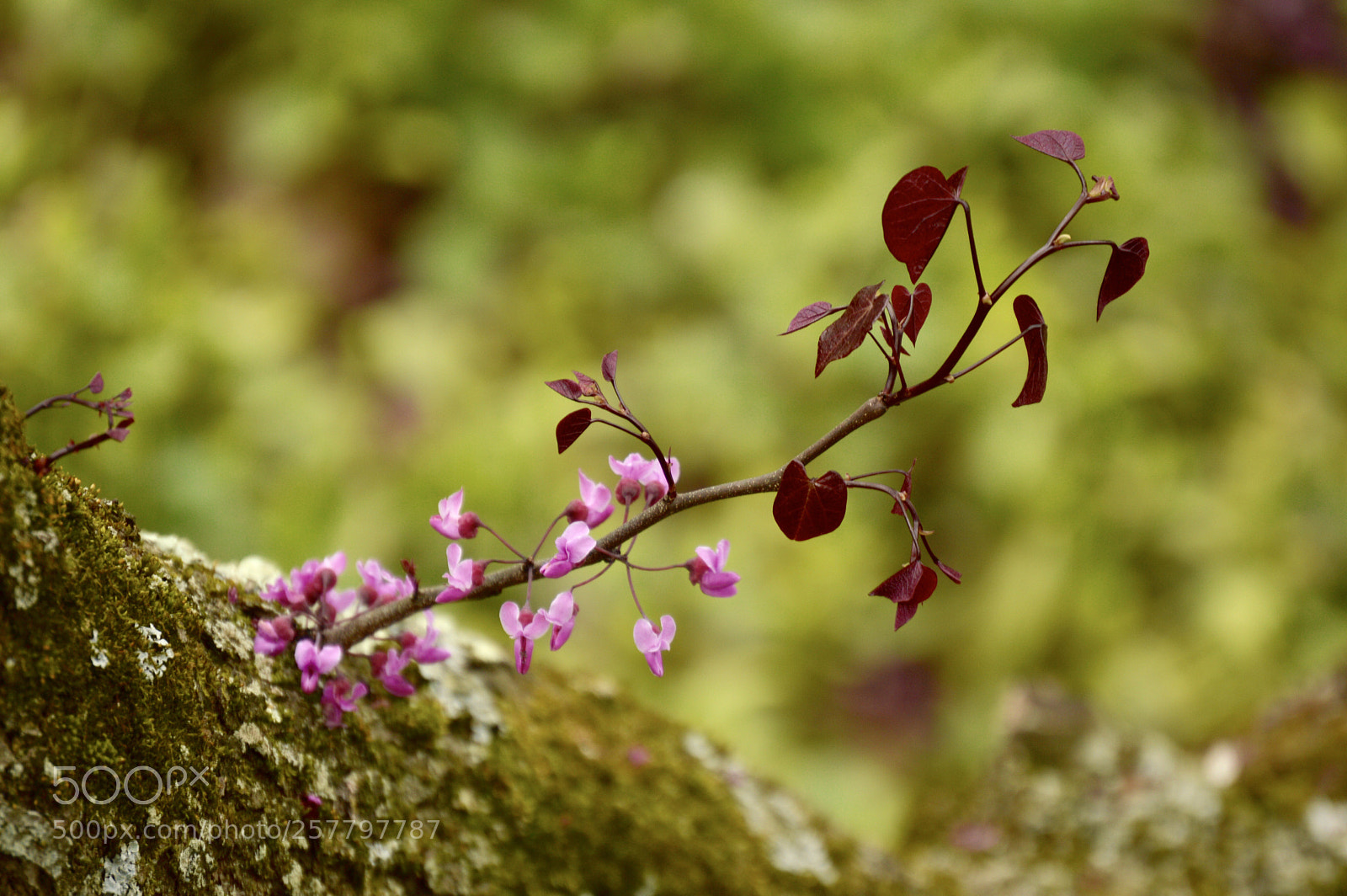 Nikon D3200 sample photo. Old& young photography