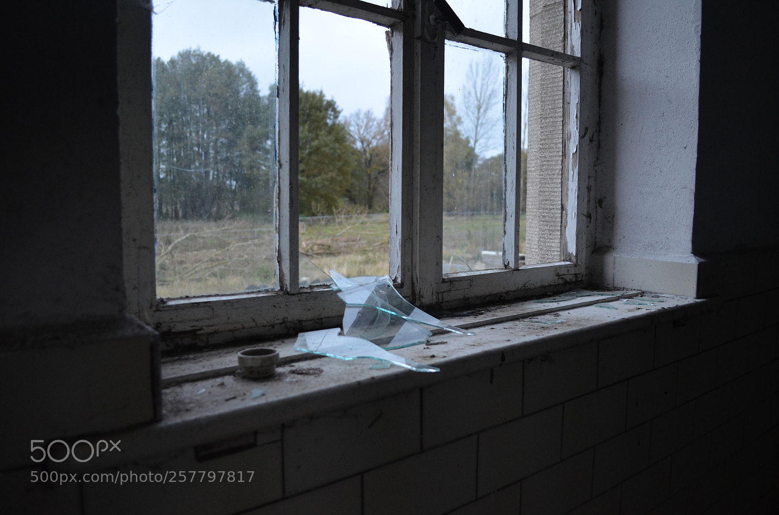 Nikon D5100 sample photo. Das kaputte fenster photography