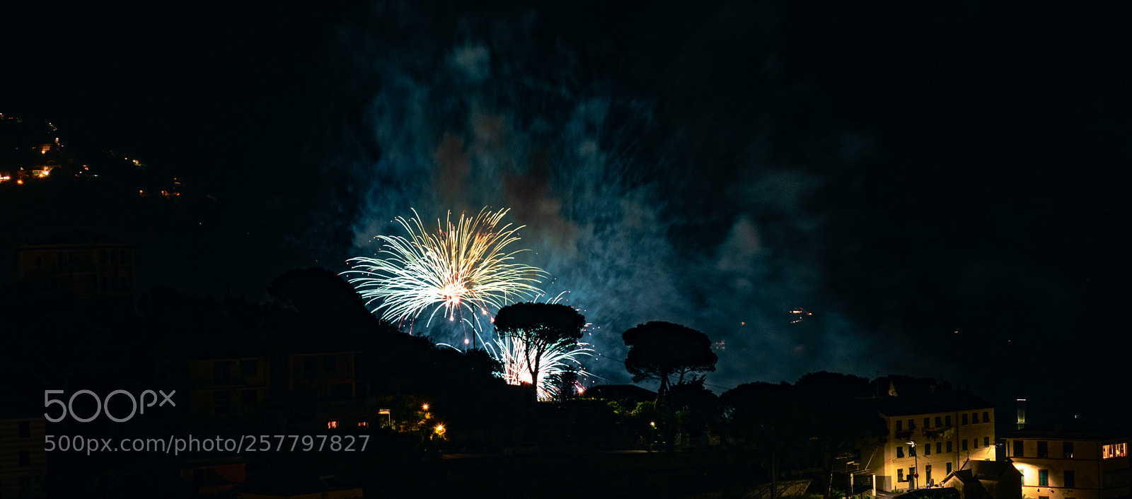 Nikon D810 sample photo. Fireworks in camogli photography