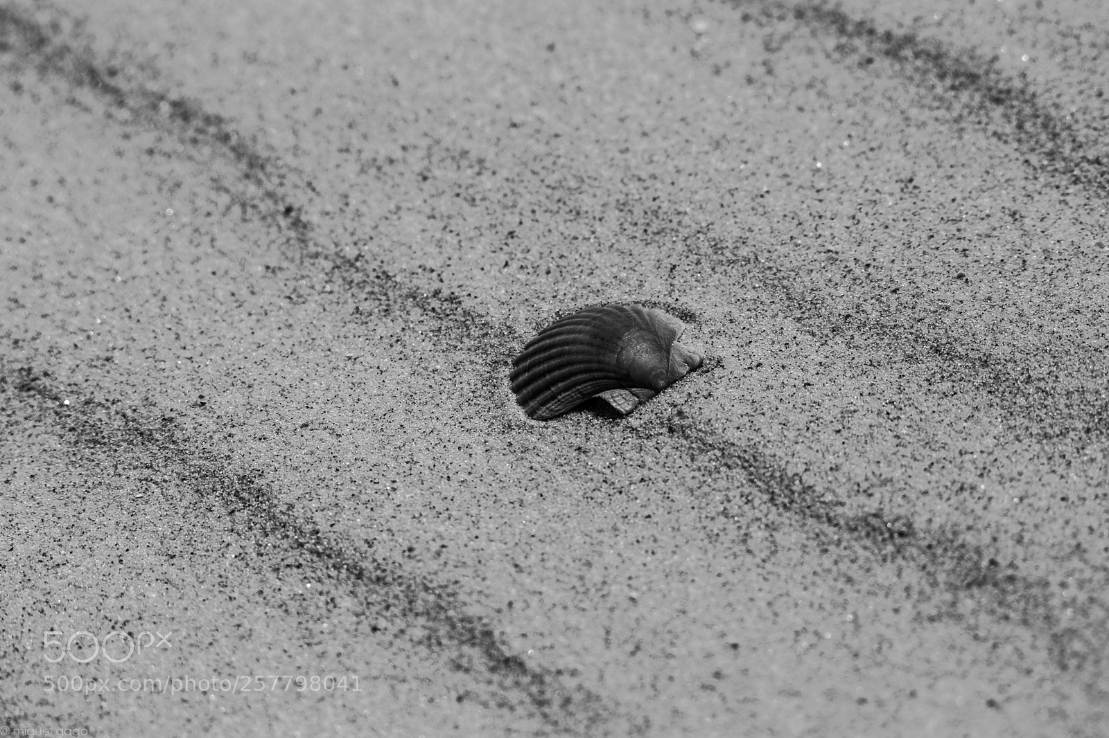 Canon EOS 6D sample photo. Remain in light photography