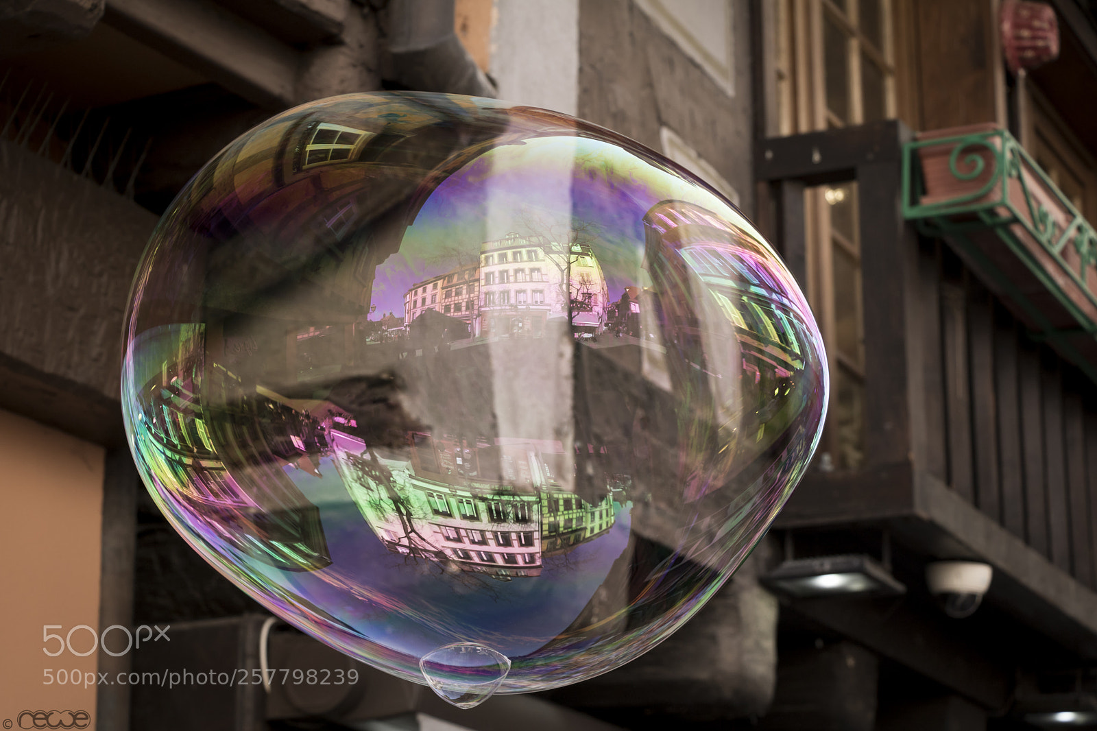 Canon EOS 760D (EOS Rebel T6s / EOS 8000D) sample photo. Upside down photography