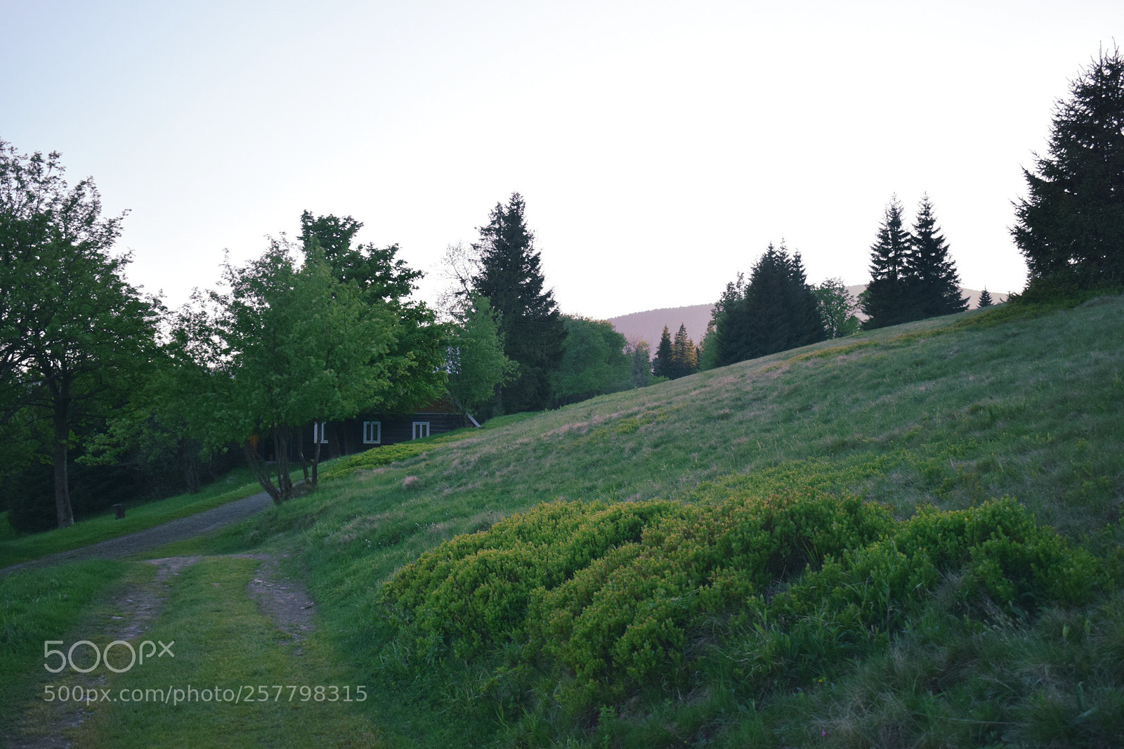 Nikon D3300 sample photo. Rural life photography