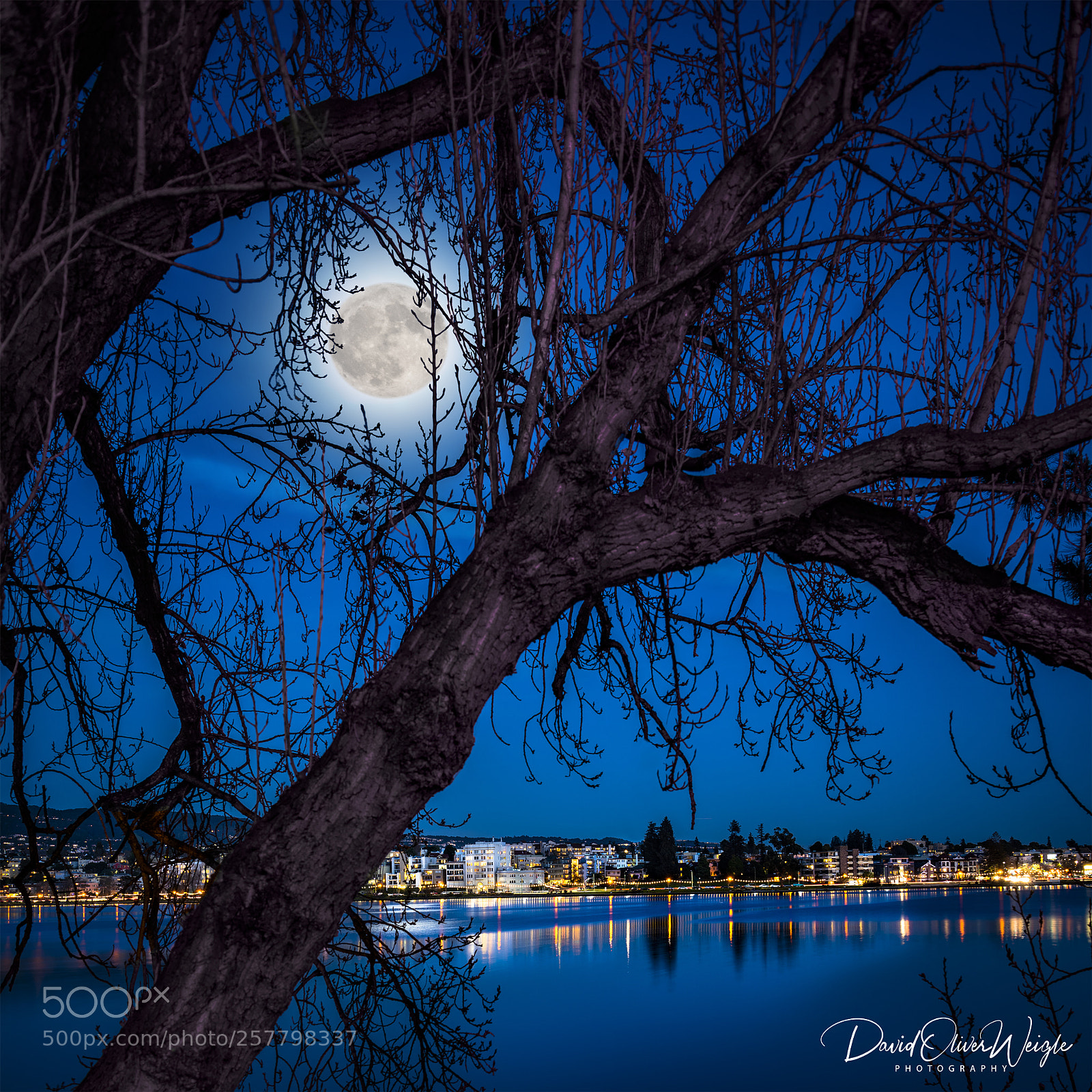 Nikon D810 sample photo. Lake merritt full moon photography