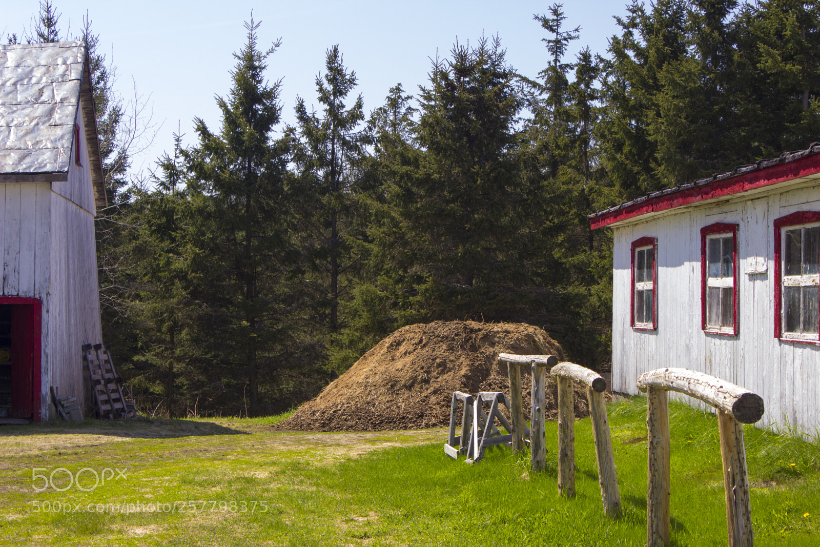 Canon EOS 600D (Rebel EOS T3i / EOS Kiss X5) sample photo. Country life photography