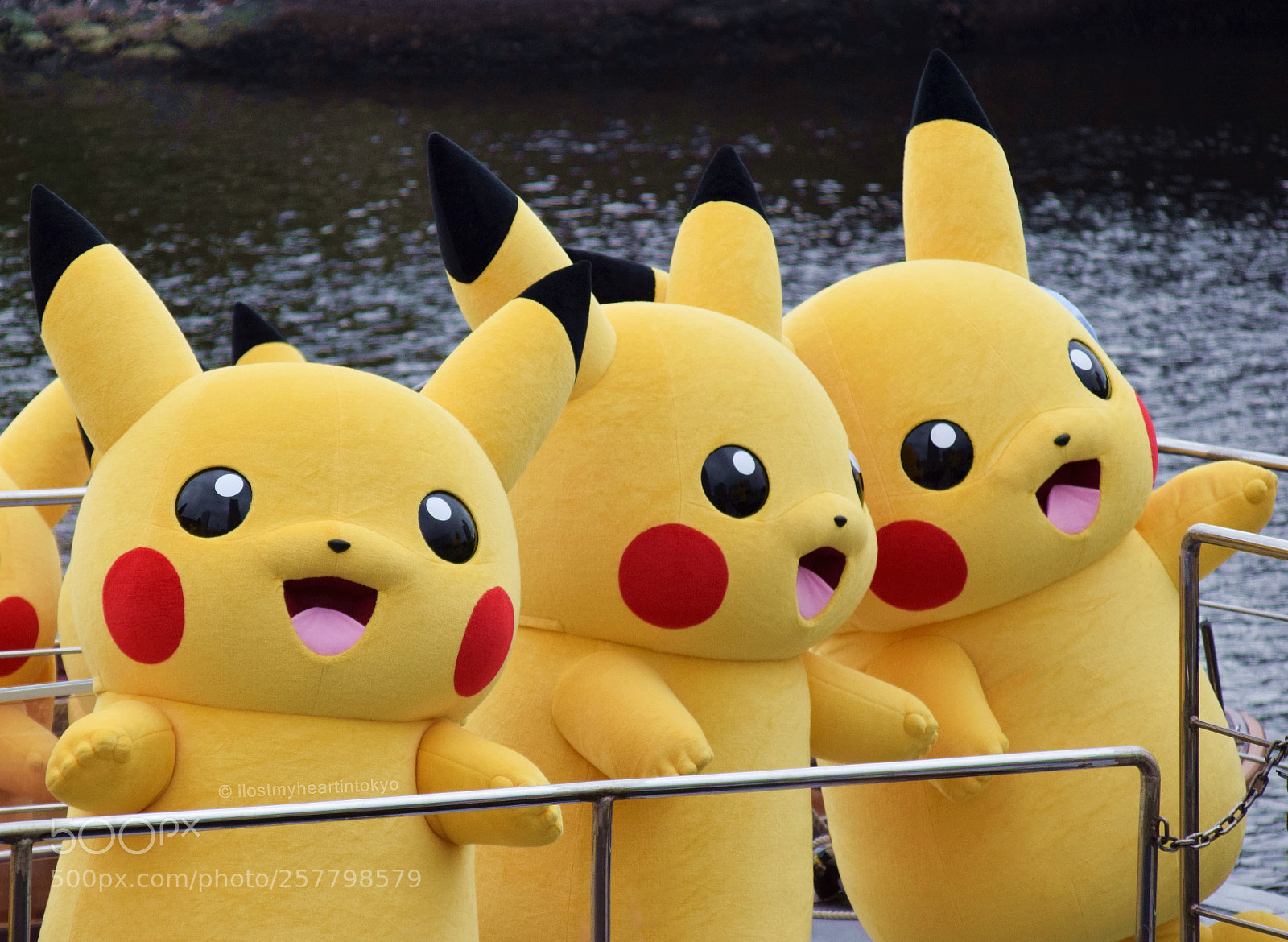 Nikon D3300 sample photo. Pika-pikachu! photography