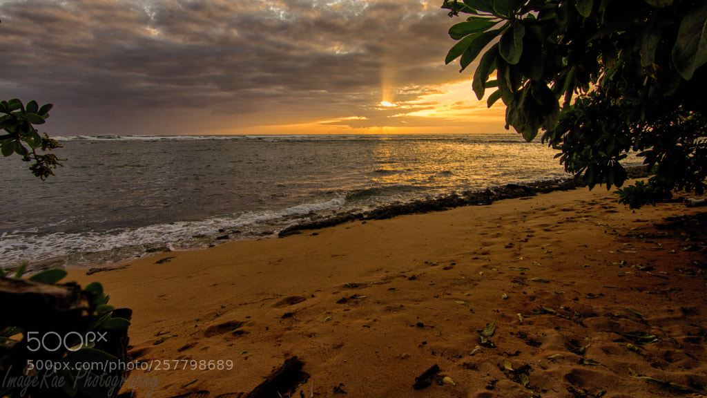 Canon EOS 7D sample photo. Kauaii dawn photography